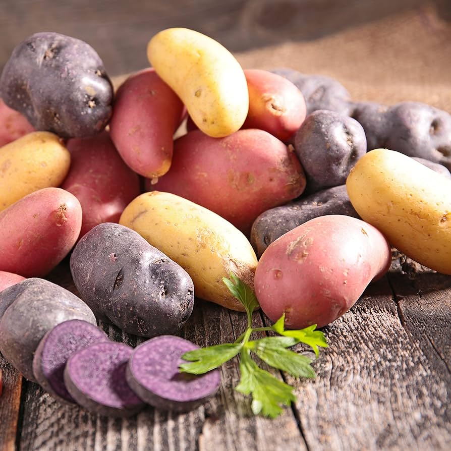 Mixed Potato Seeds for Vegetable Planting., Premium Seeds seed packet for home gardening