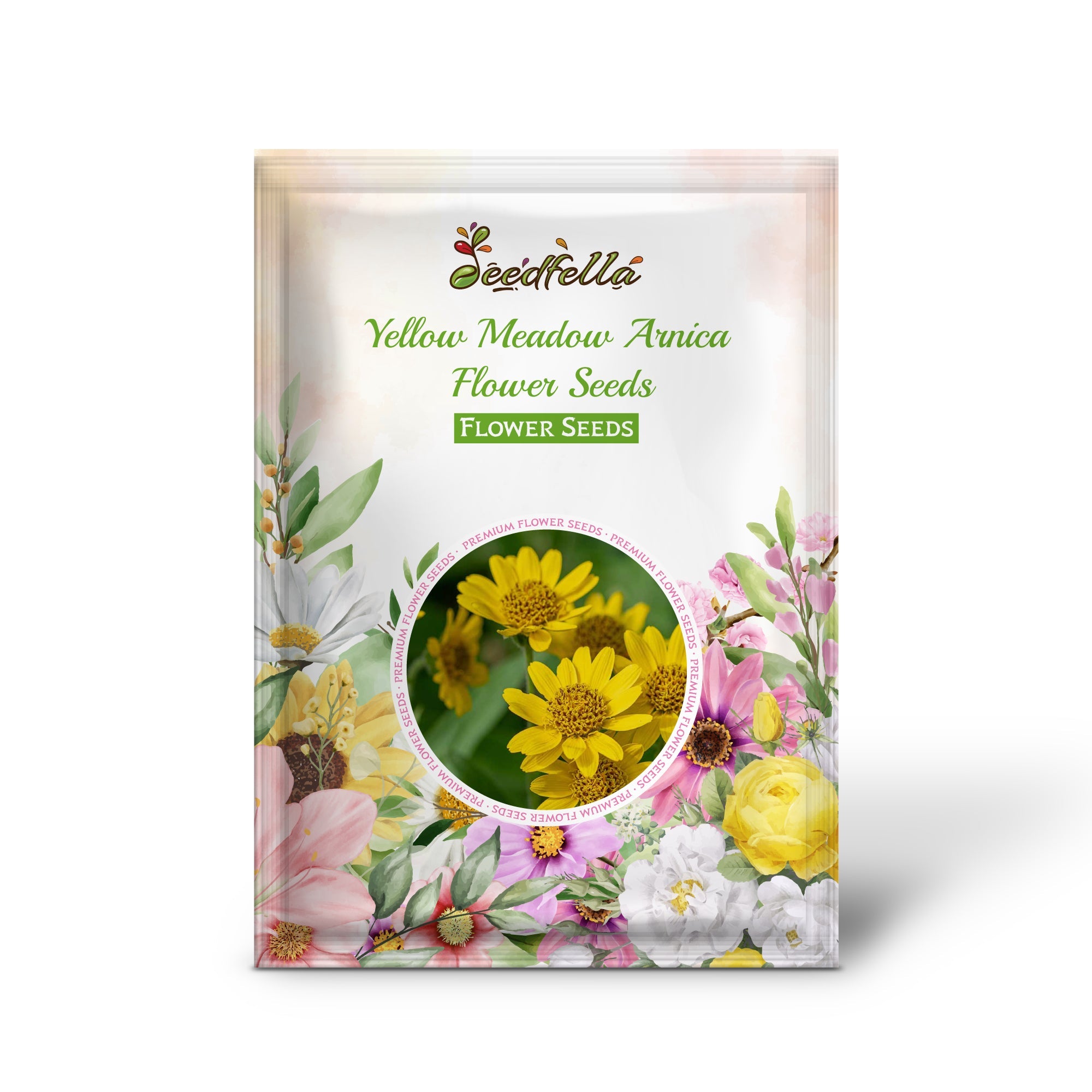 Yellow Meadow Arnica Flower Seeds for Planting - Brighten Your Garden with Vibrant Blooms