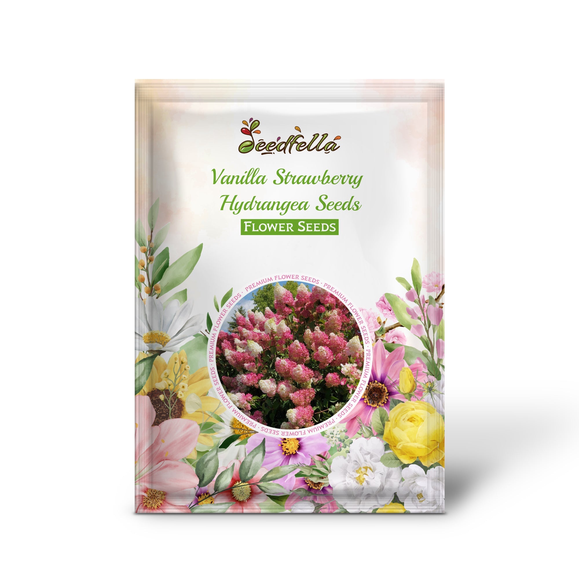Vanilla Strawberry Hydrangea Seeds for Planting - Beautiful Blooms for Your Garden
