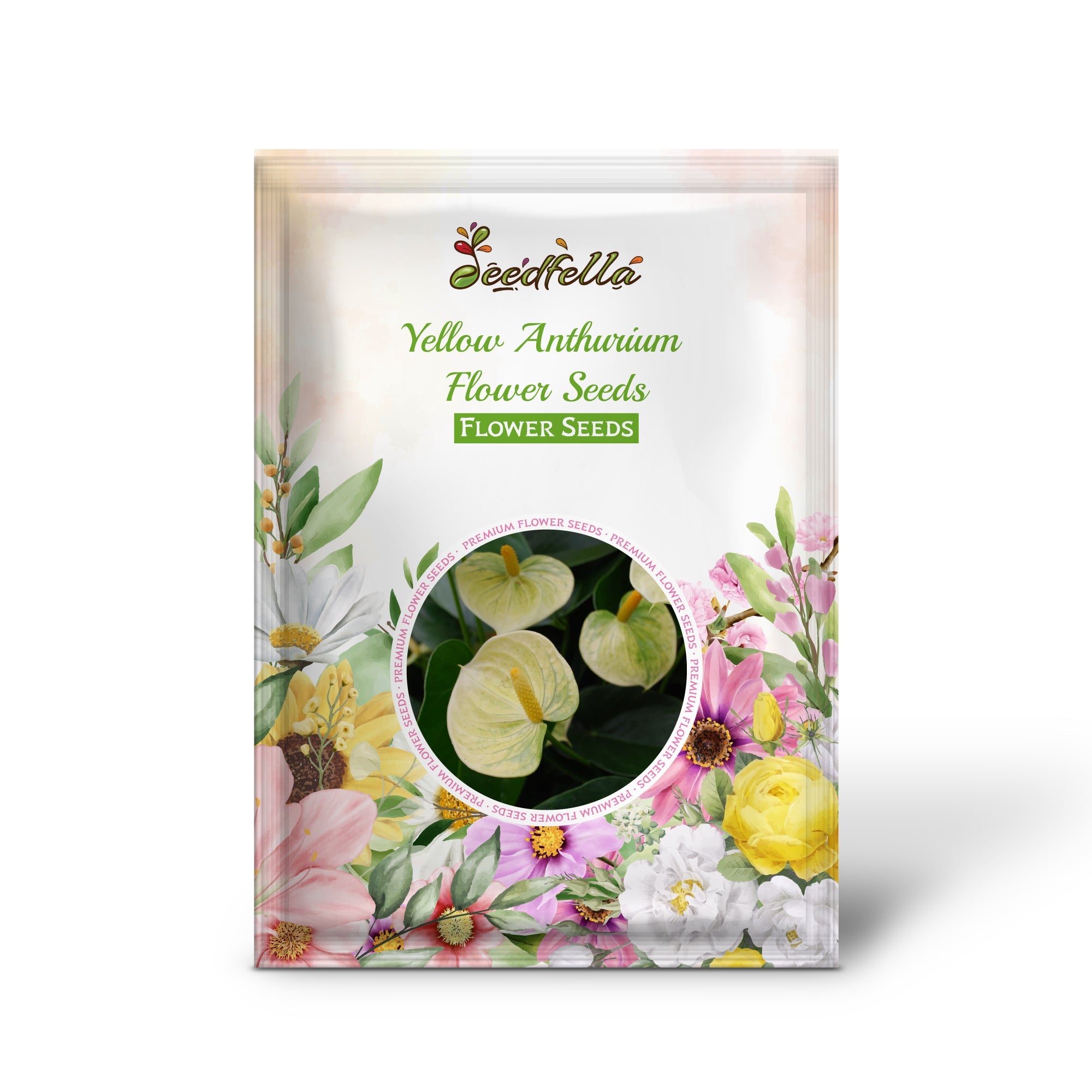Yellow Anthurium Flower Seeds - Perennial Seeds for Indoor & Outdoor Planting
