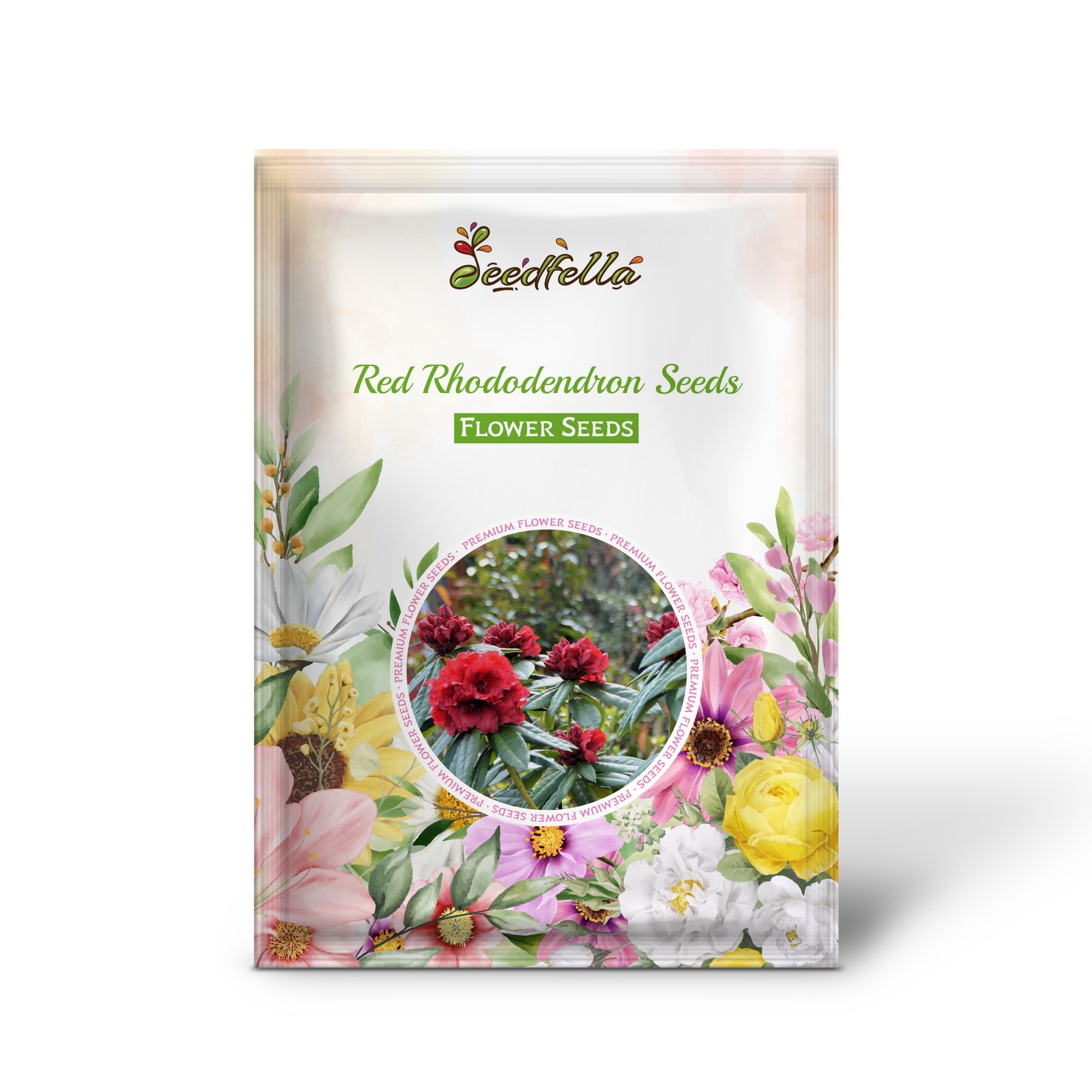 Red Rhododendron Seeds for Planting - Perennial Blooms