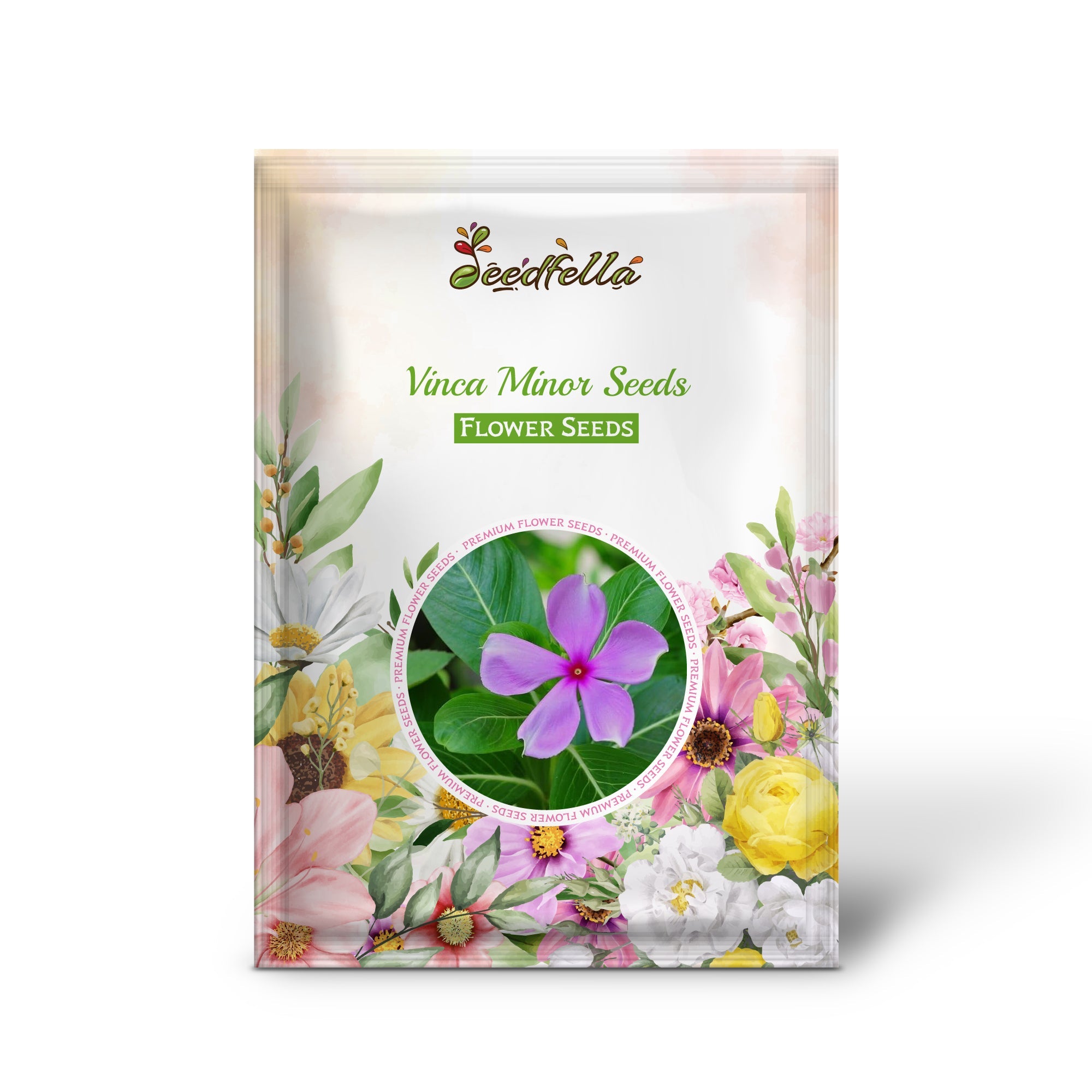 Vinca Minor Seeds for Planting - Hardy Perennial Flower Seeds