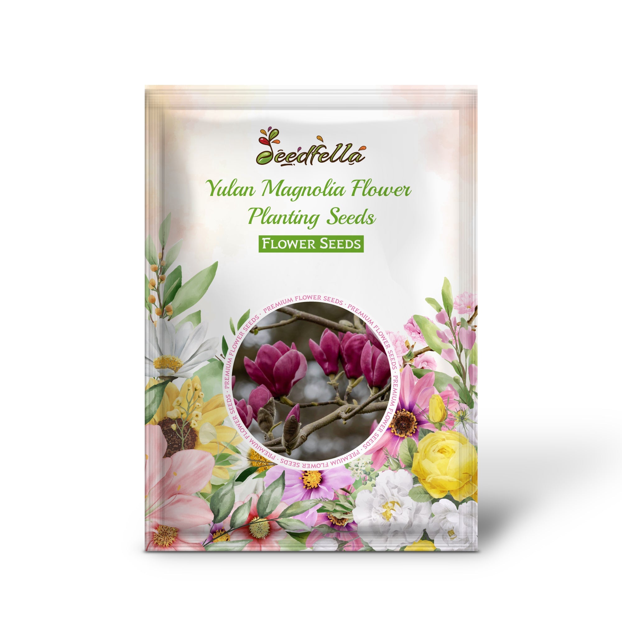Yulan Magnolia Flower Planting Seeds