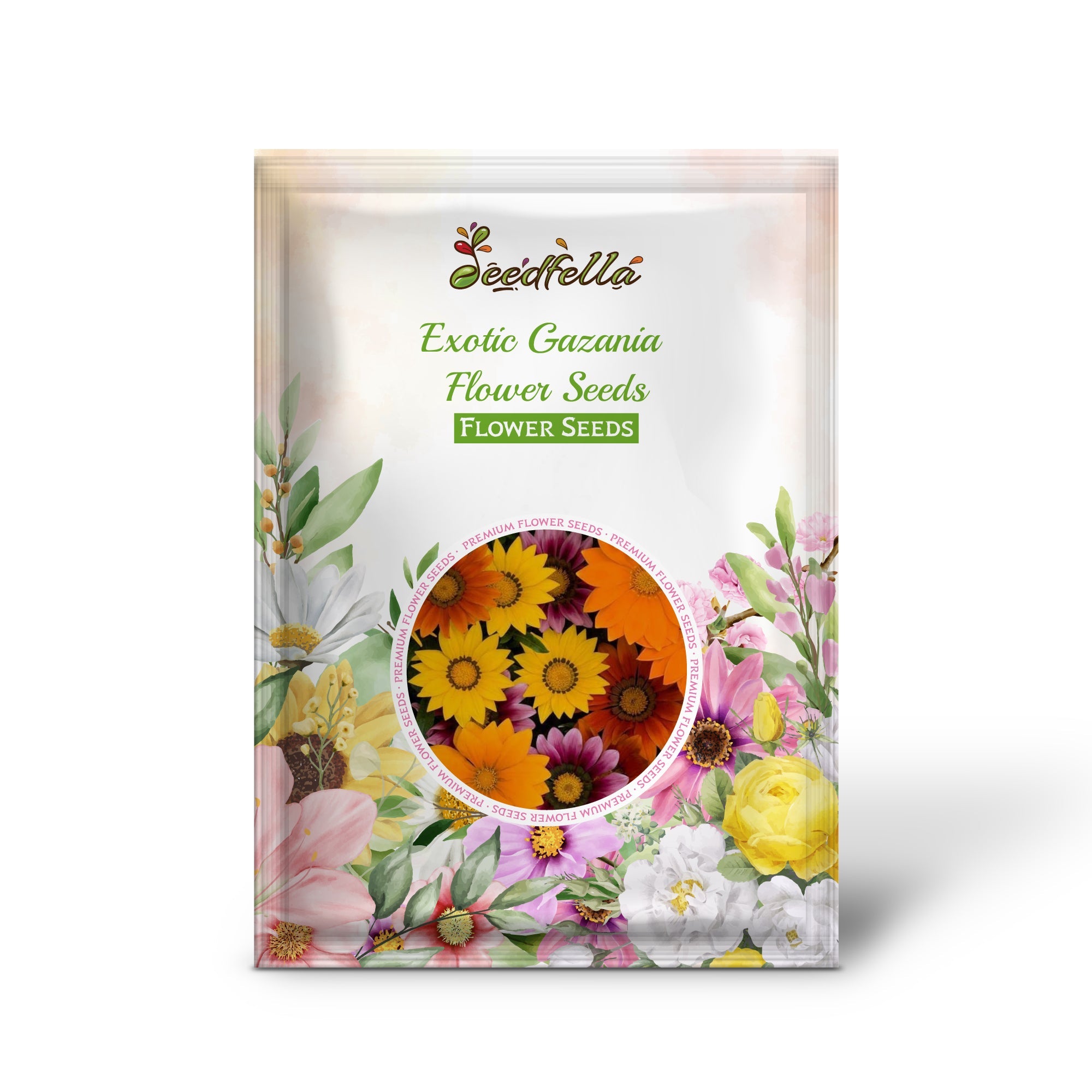 Exotic Gazania Flower Seeds for Planting  Brighten Your Garden!