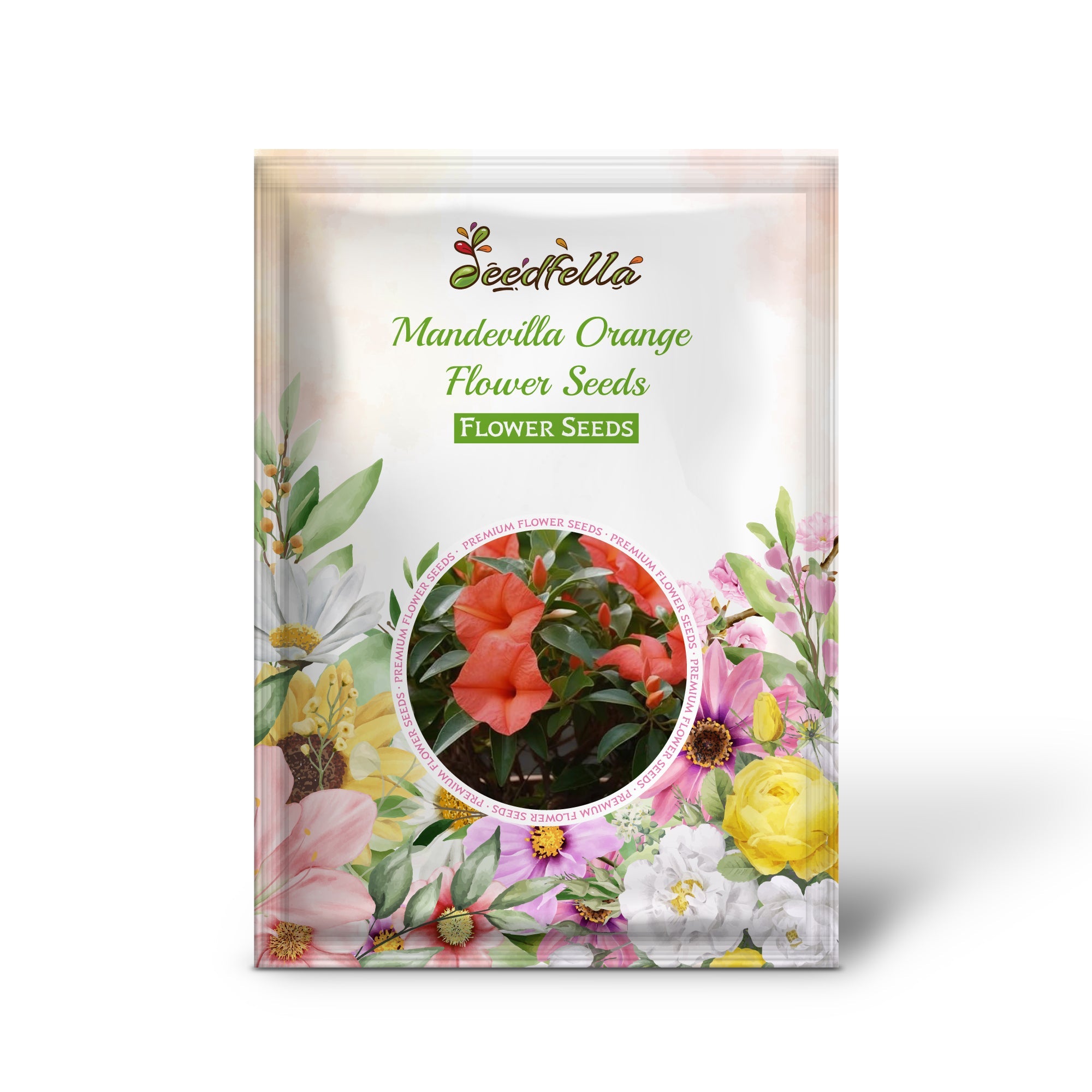 Mandevilla Orange Flower Seeds for Vibrant Garden Planting