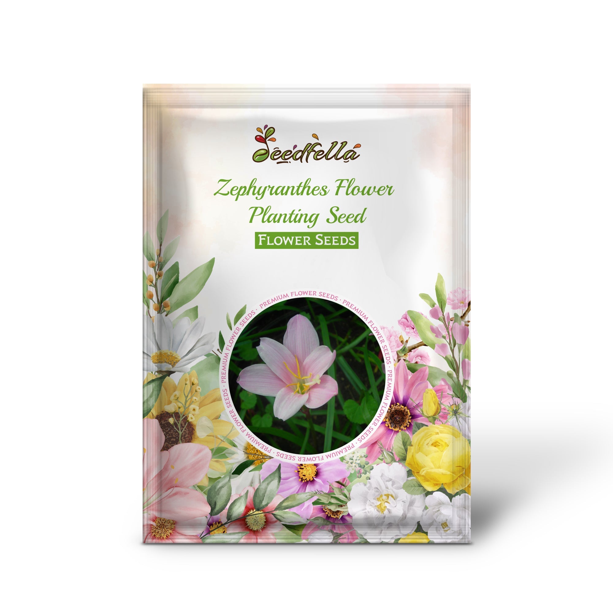 Zephyranthes Flower Planting Seed - Ideal for Vibrant Garden Blooms and Easy Care