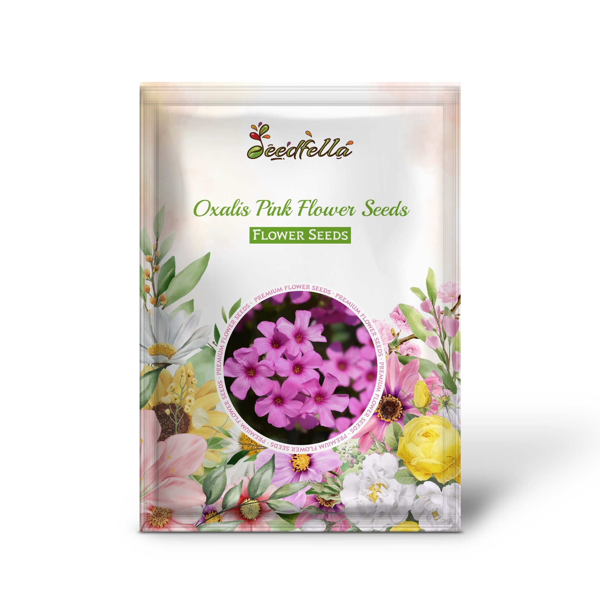 Oxalis Pink Flower Seeds - Perfect for Planting in Your Garden