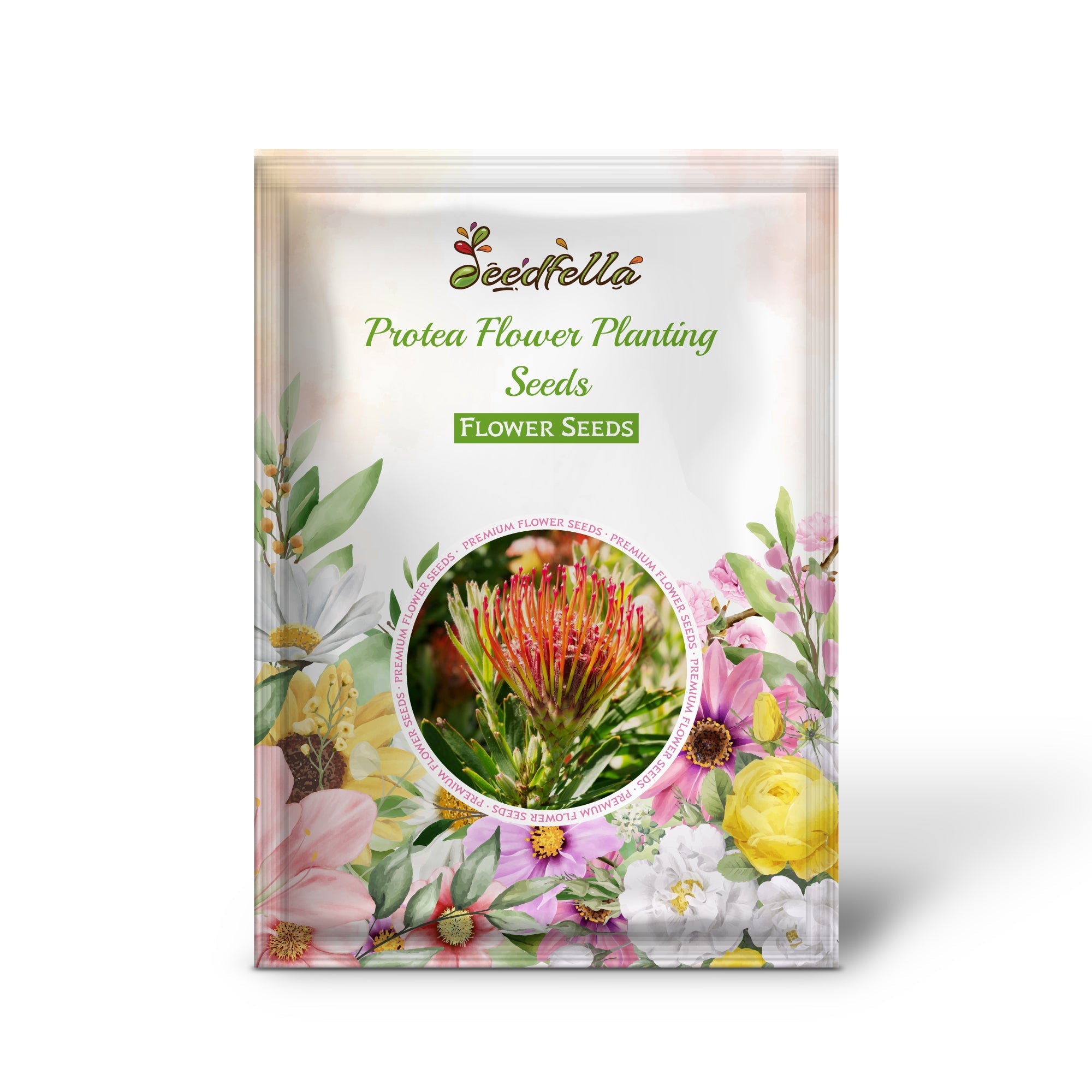 Protea Flower Planting Seeds for Vibrant Gardens