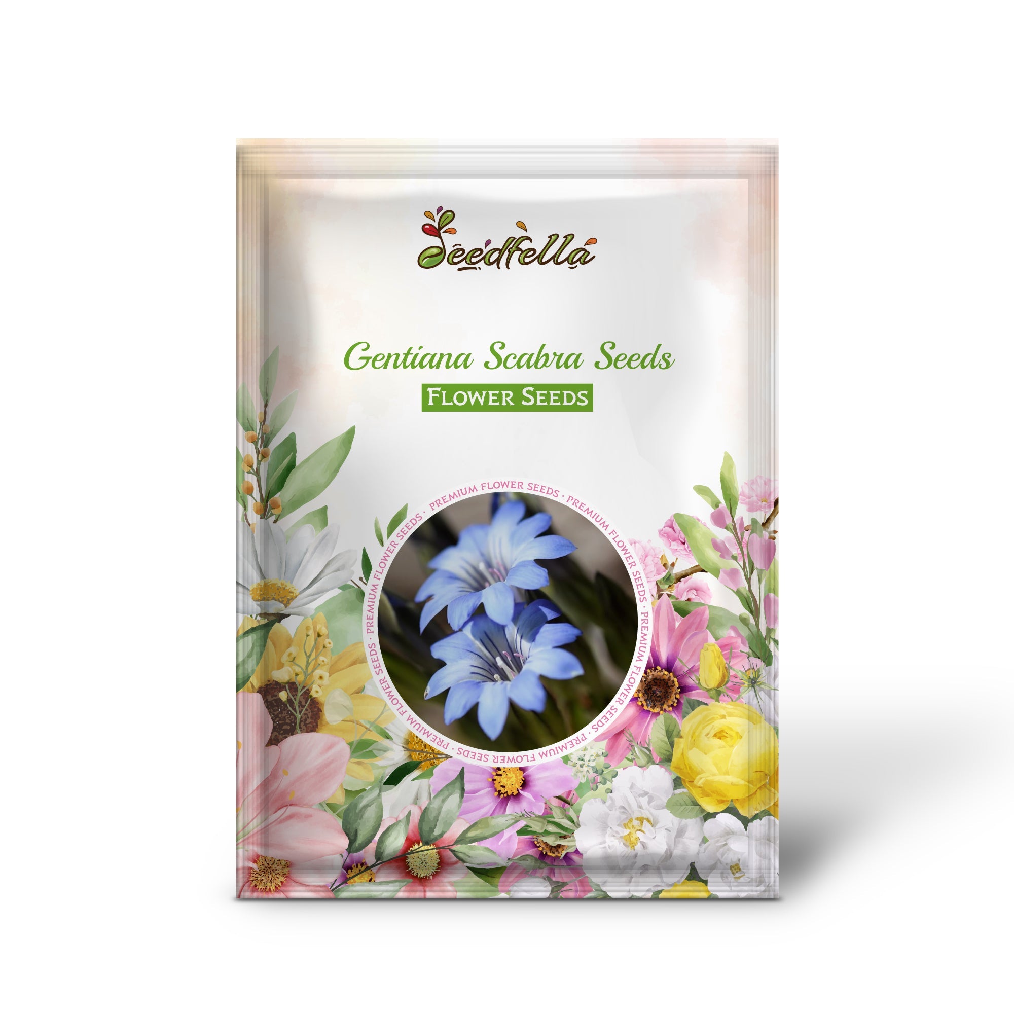 Gentiana Scabra Seeds for Planting - Beautiful Blue Flower Seeds