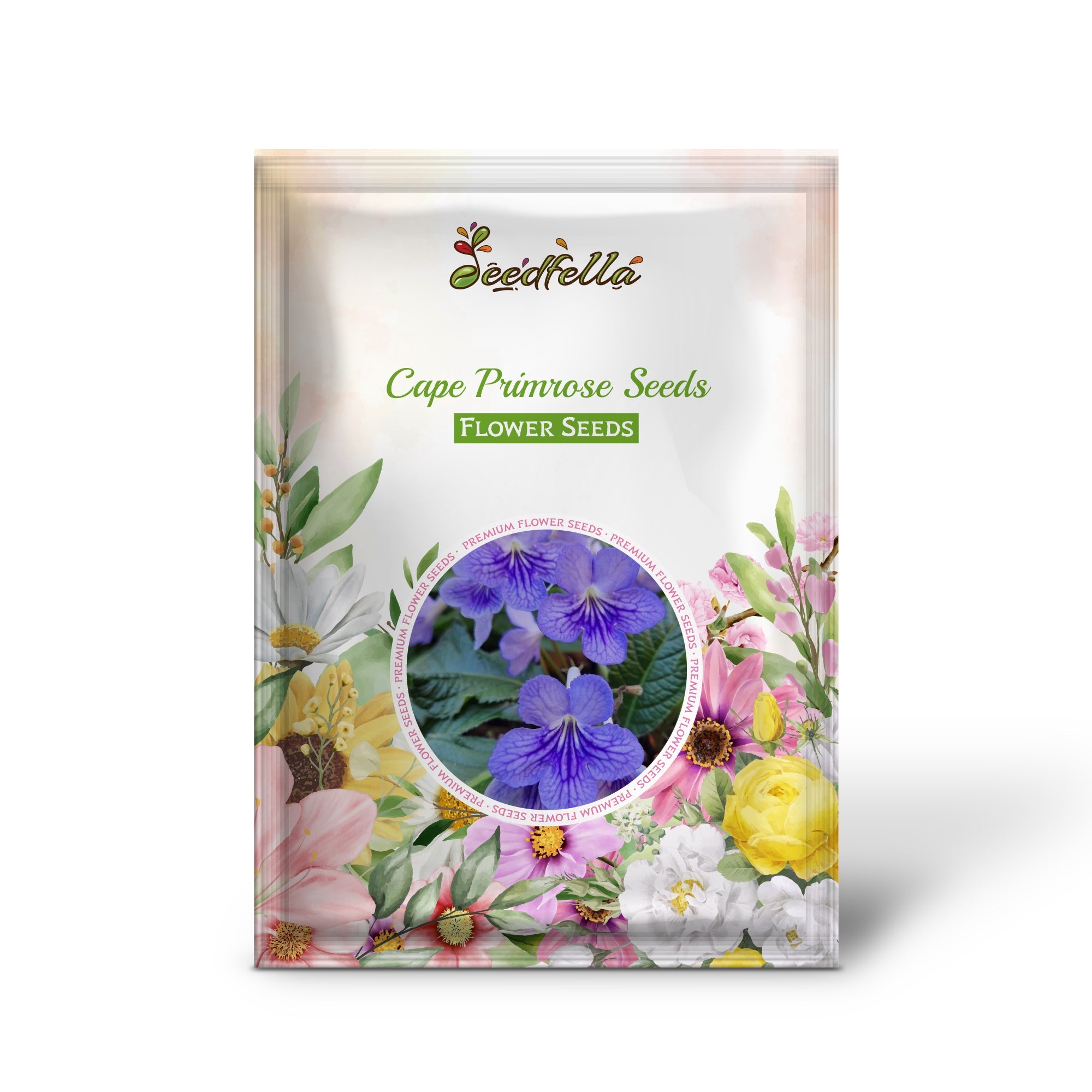 Cape Primrose Seeds for Planting  Vibrant Flower Seeds for Your Garden