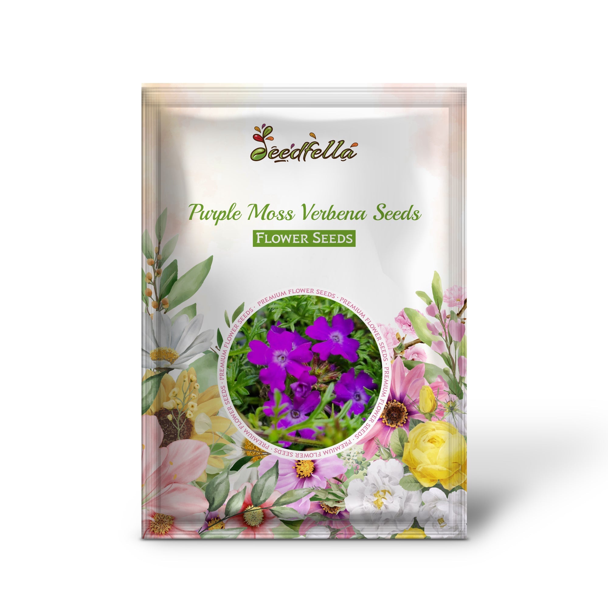Purple Moss Verbena Seeds for Planting - Stunning Garden Ground Cover