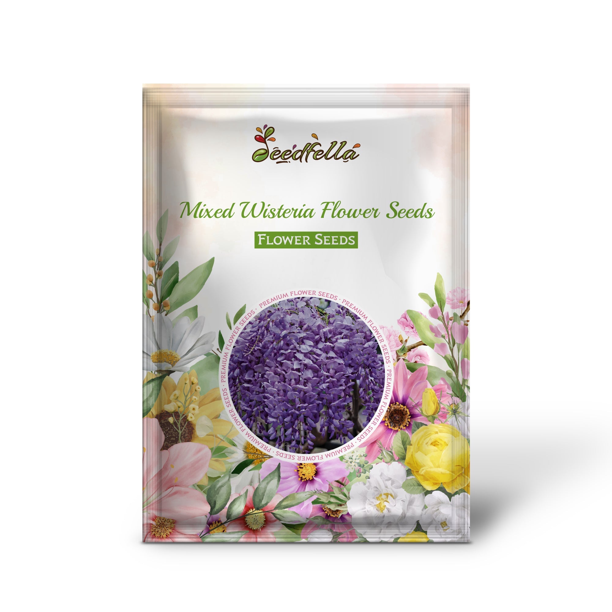 Mixed Wisteria Flower Seeds for Planting | Beautiful Cascading Blooms for Your Garden