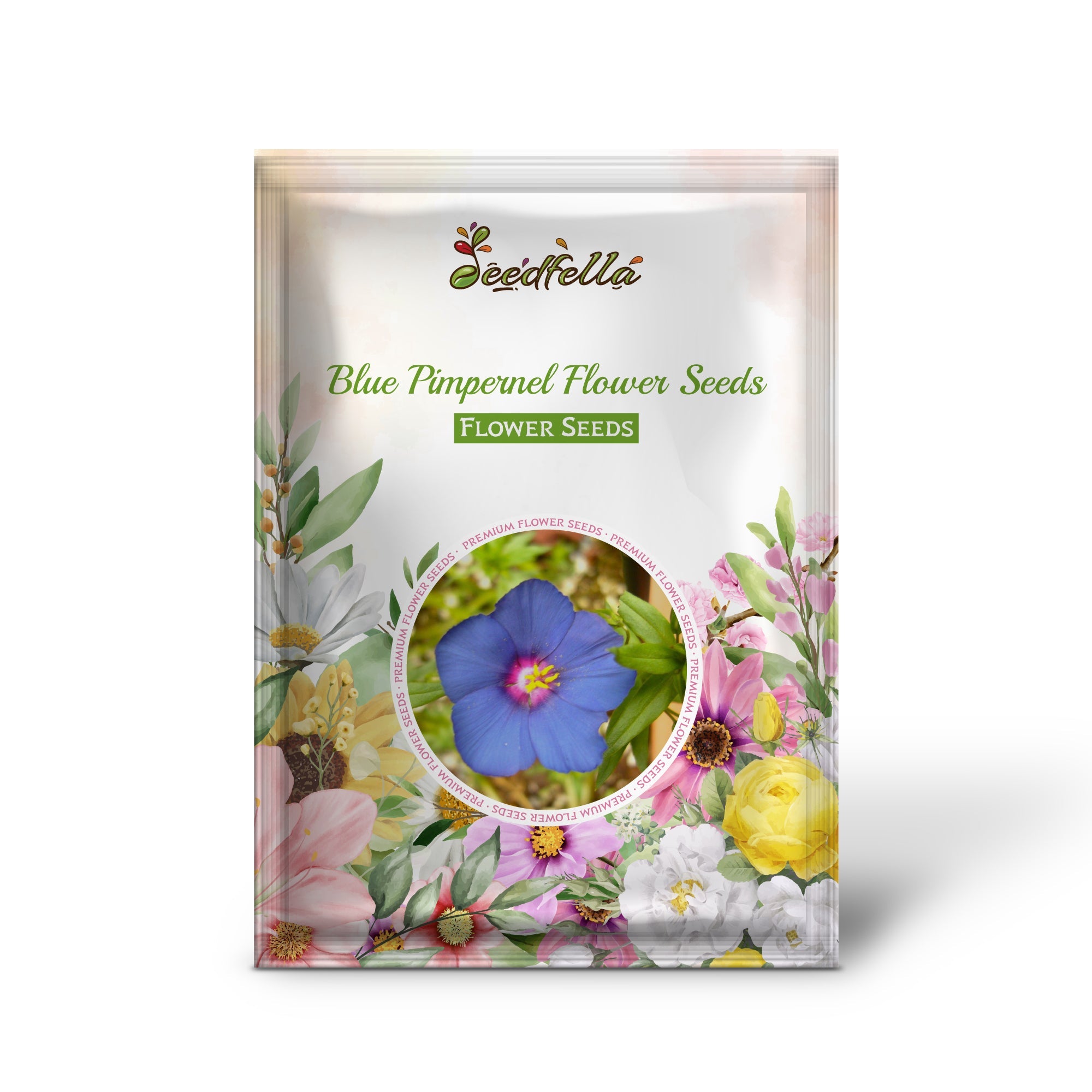 Blue Pimpernel Flower Seeds for Planting  Easy to Grow Annual Blooms