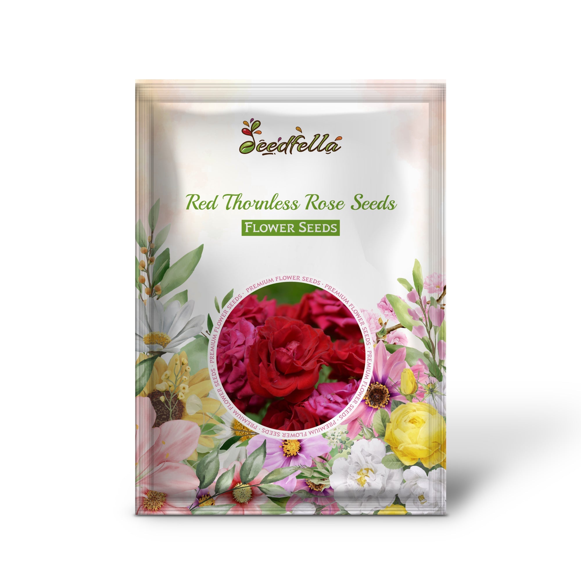 Red Thornless Rose Seeds for Planting  Beautiful Blooms Without Thorns