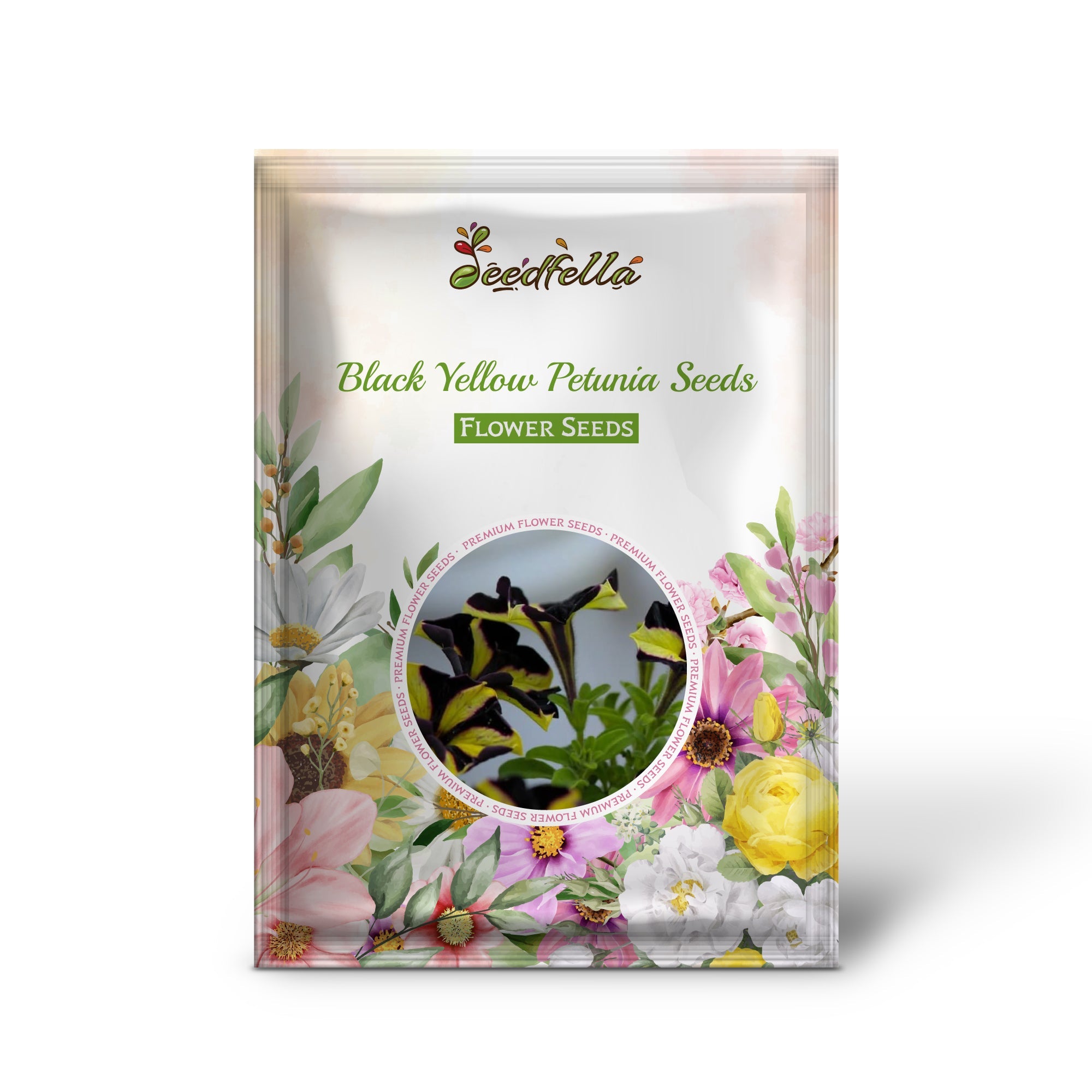 Black Yellow Petunia Seeds for Planting
