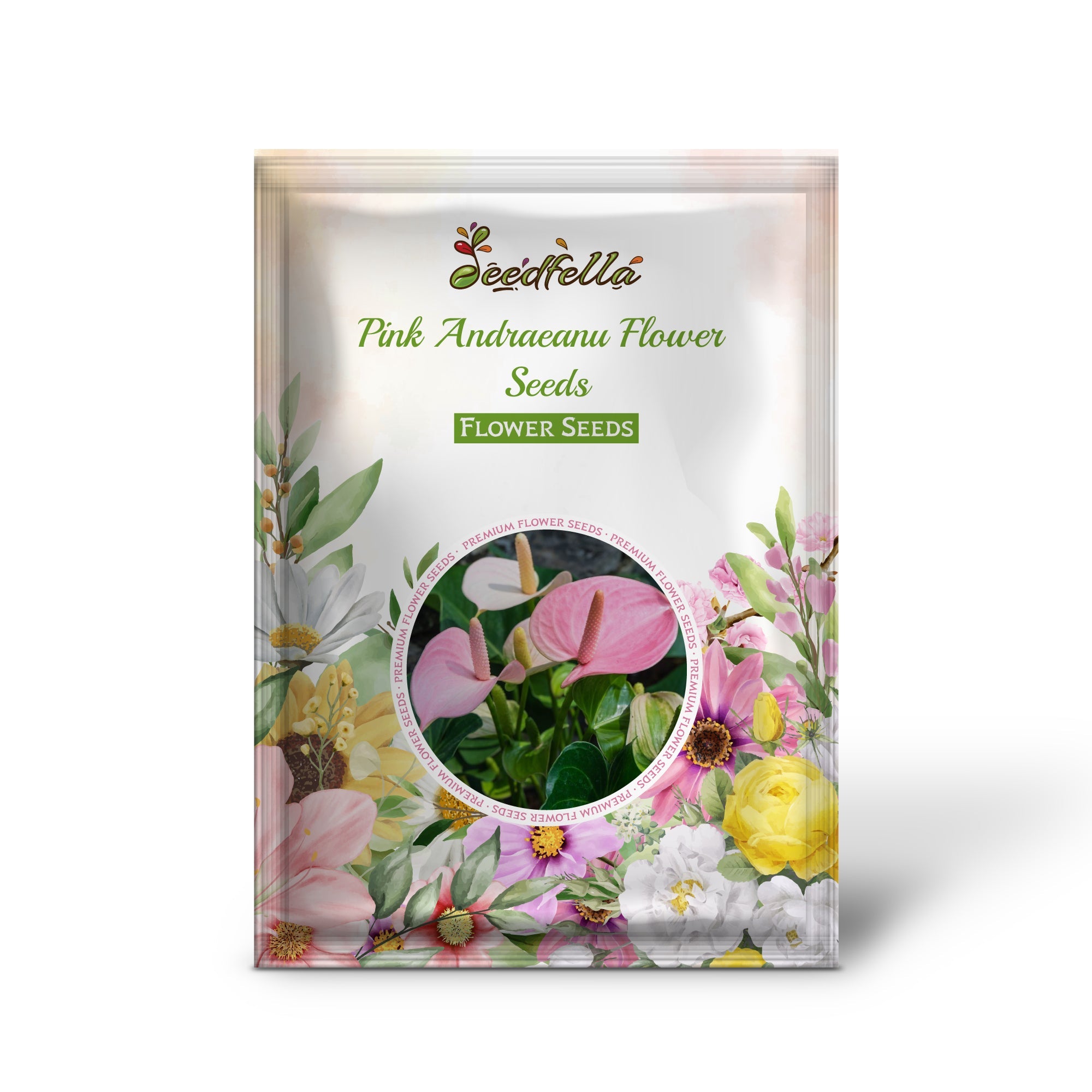 Pink Andraeanu Flower Seeds for Planting  Vibrant Blooms for Your Garden