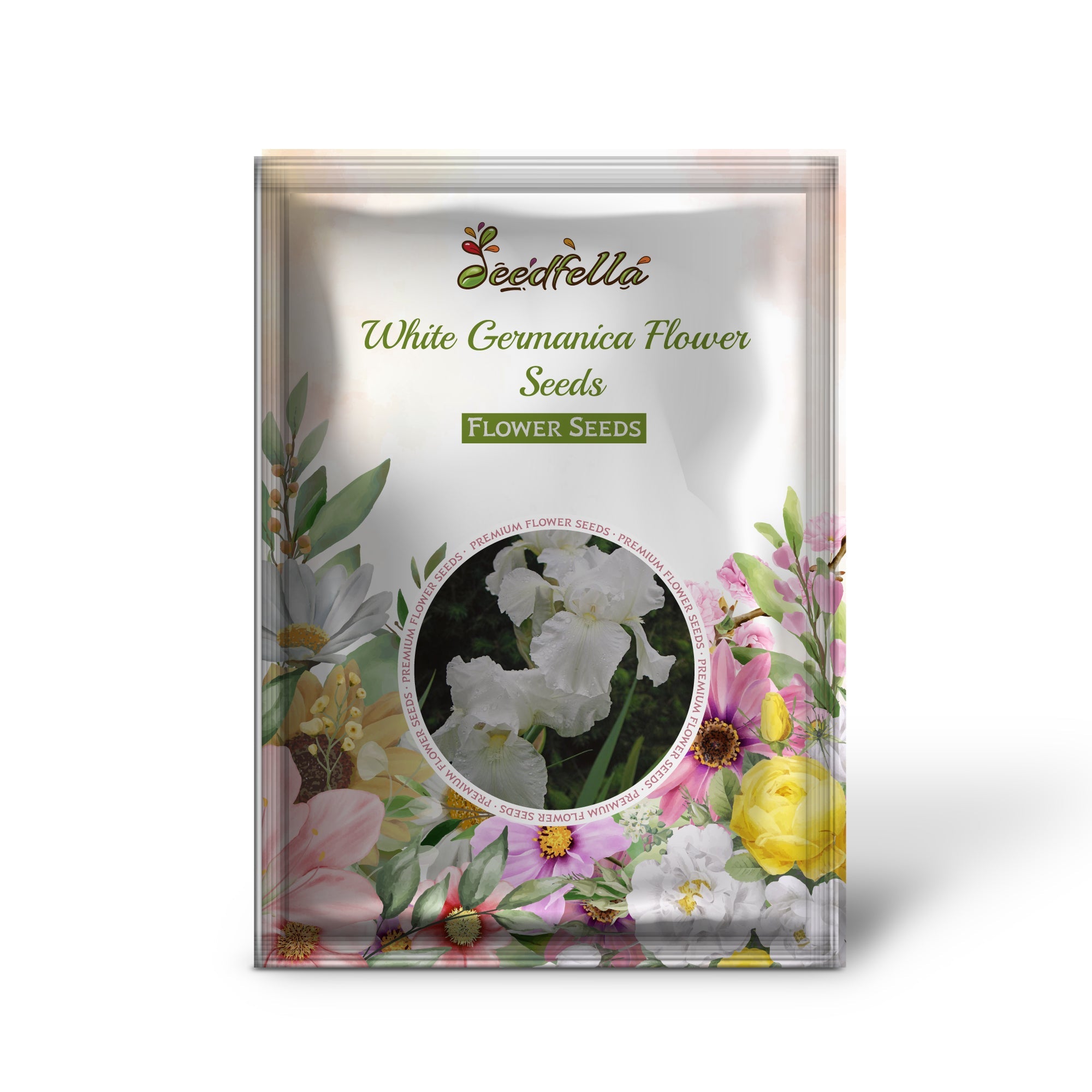 White Germanica Flower Seeds for Planting - Elegant Blooms for Your Garden