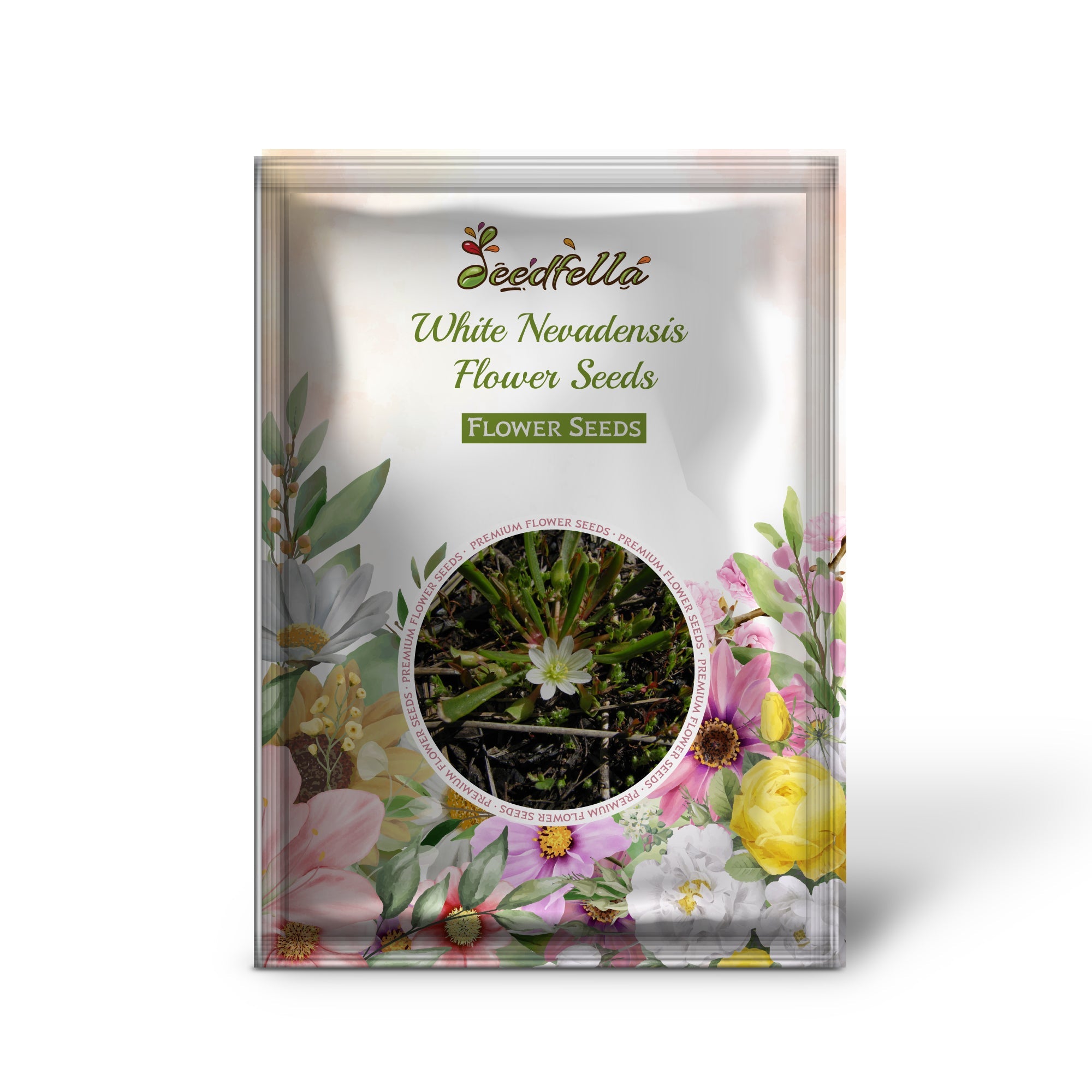 White Nevadensis Flower Seeds for Planting | Elegant White Blooms for Your Garden