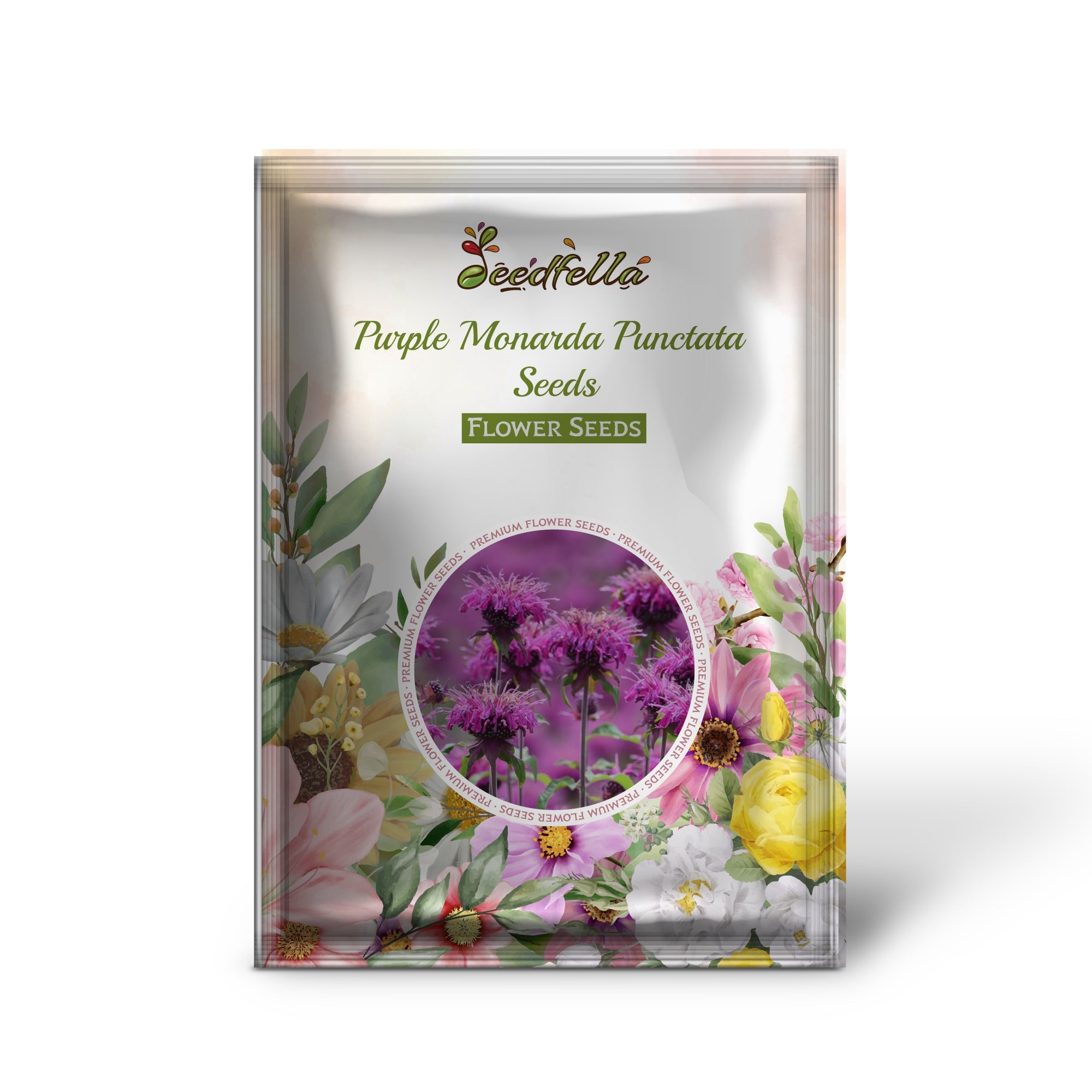 Purple Monarda Punctata Seeds for Planting  Vibrant Perennial Blooms
