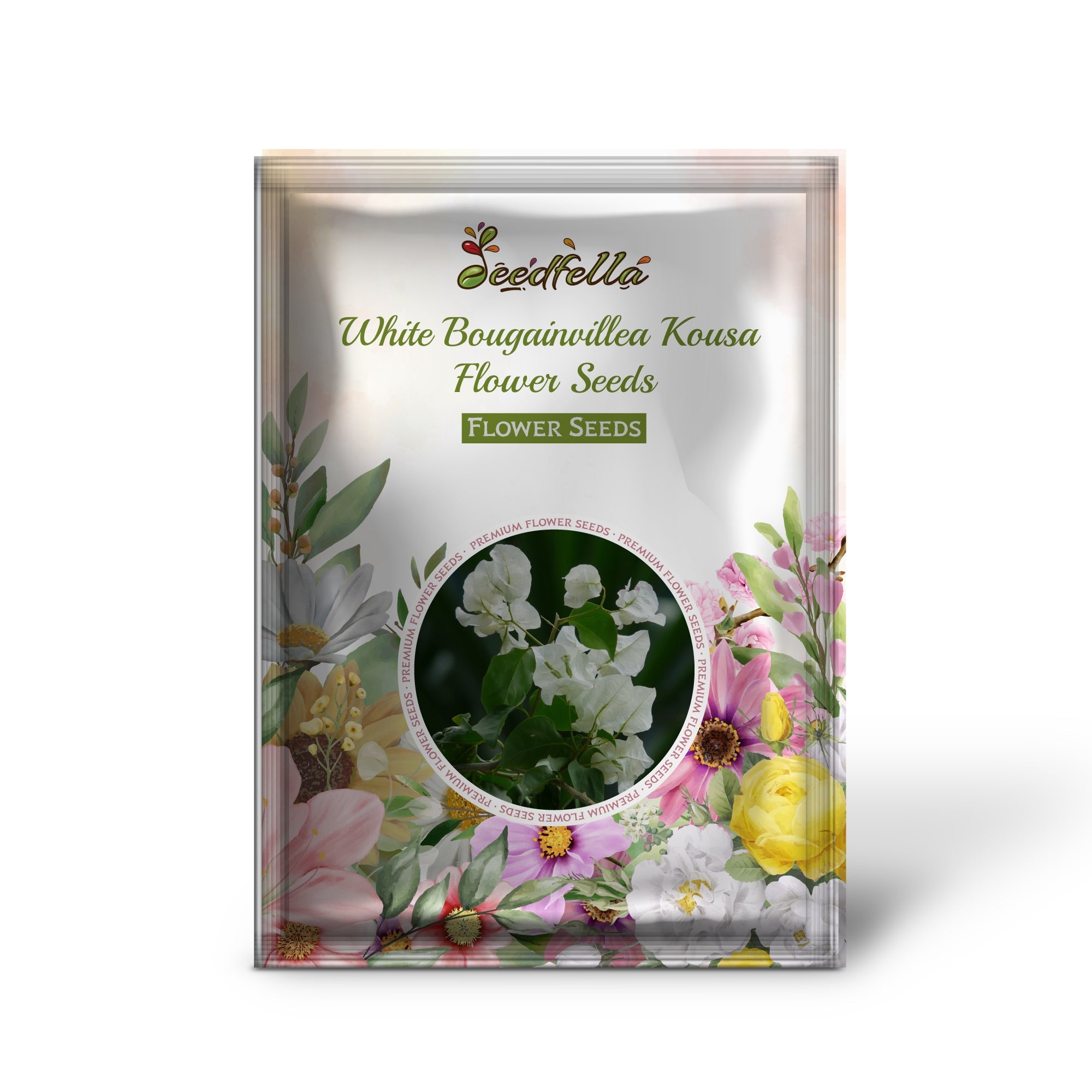 White Bougainvillea Kousa Flower Seeds for Planting | Elegant Flowering Seeds for Beautiful Gardens