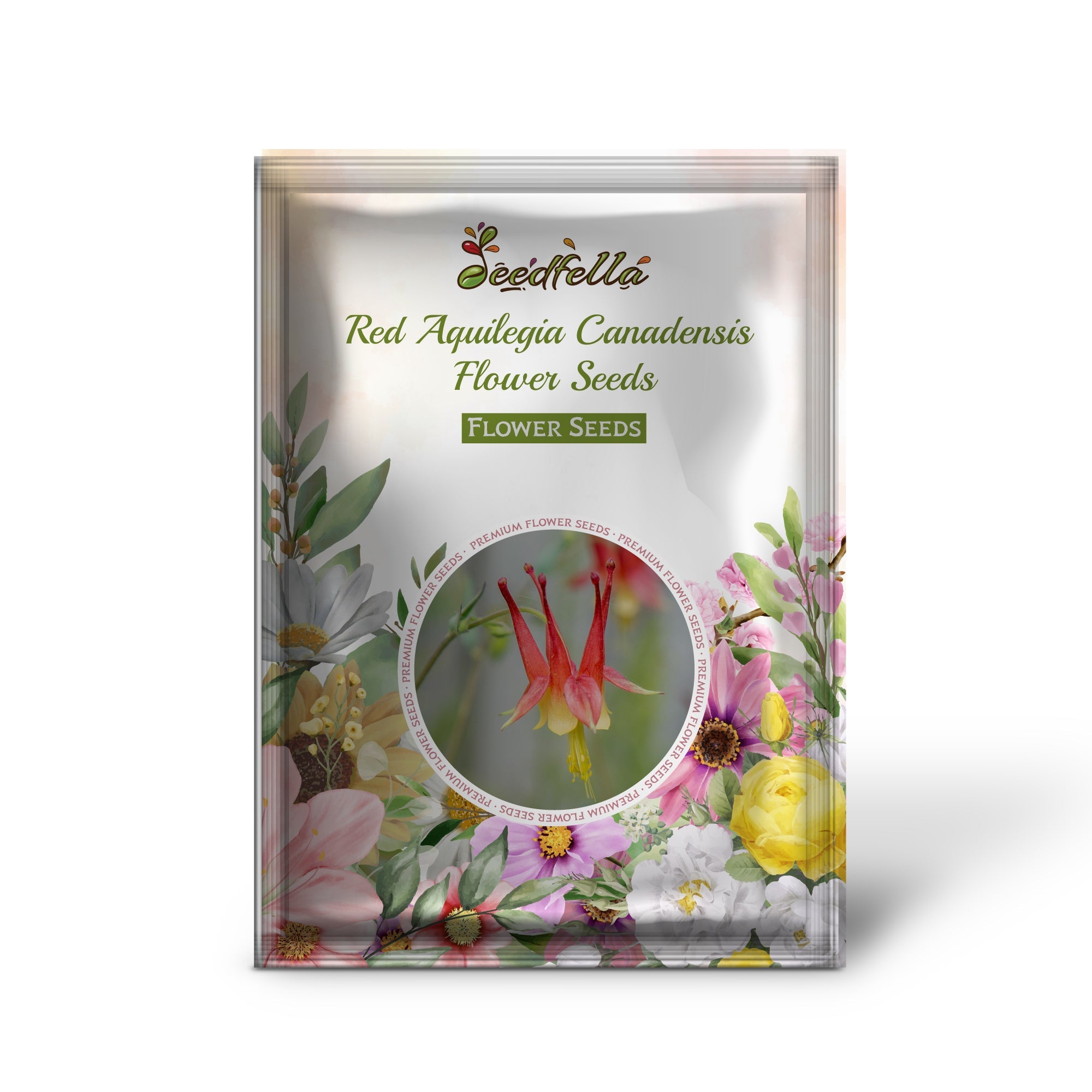 Red Aquilegia Canadensis Flower Seeds  Perfect for Spring Planting