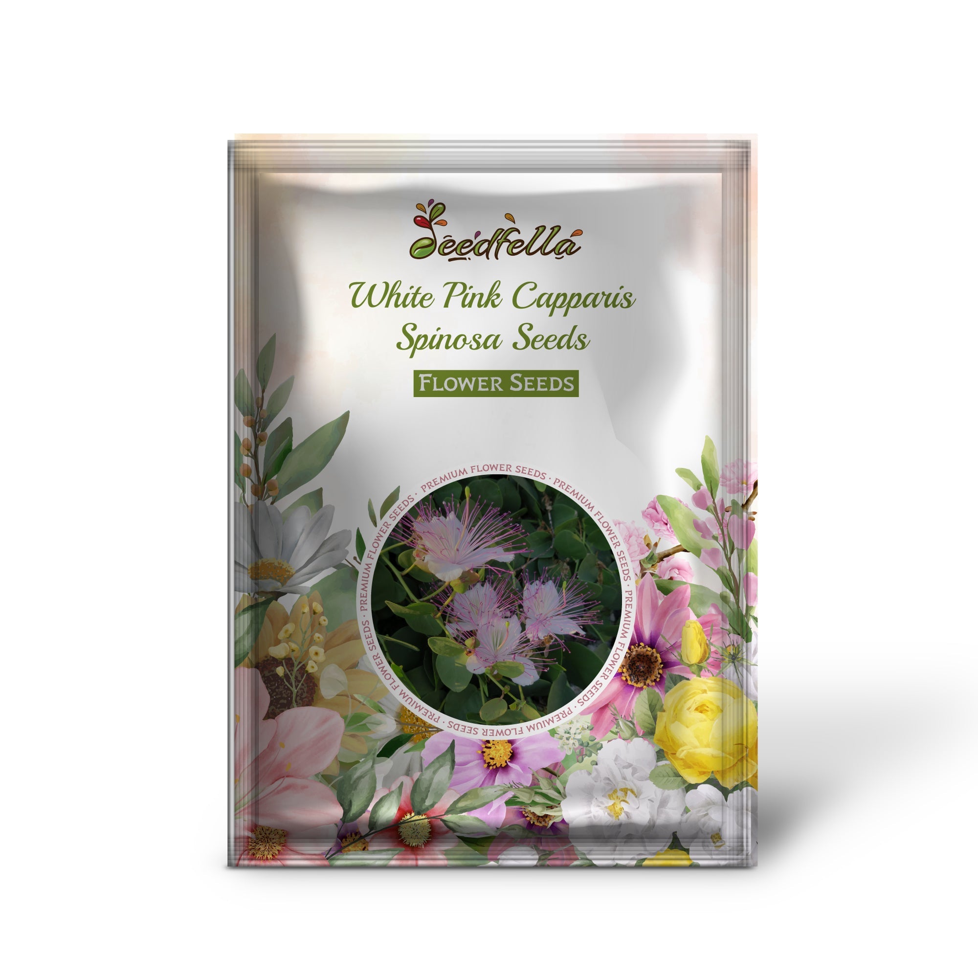 White Pink Capparis Spinosa Seeds for Planting  Ideal for Gardens and Pots with Unique Blooms