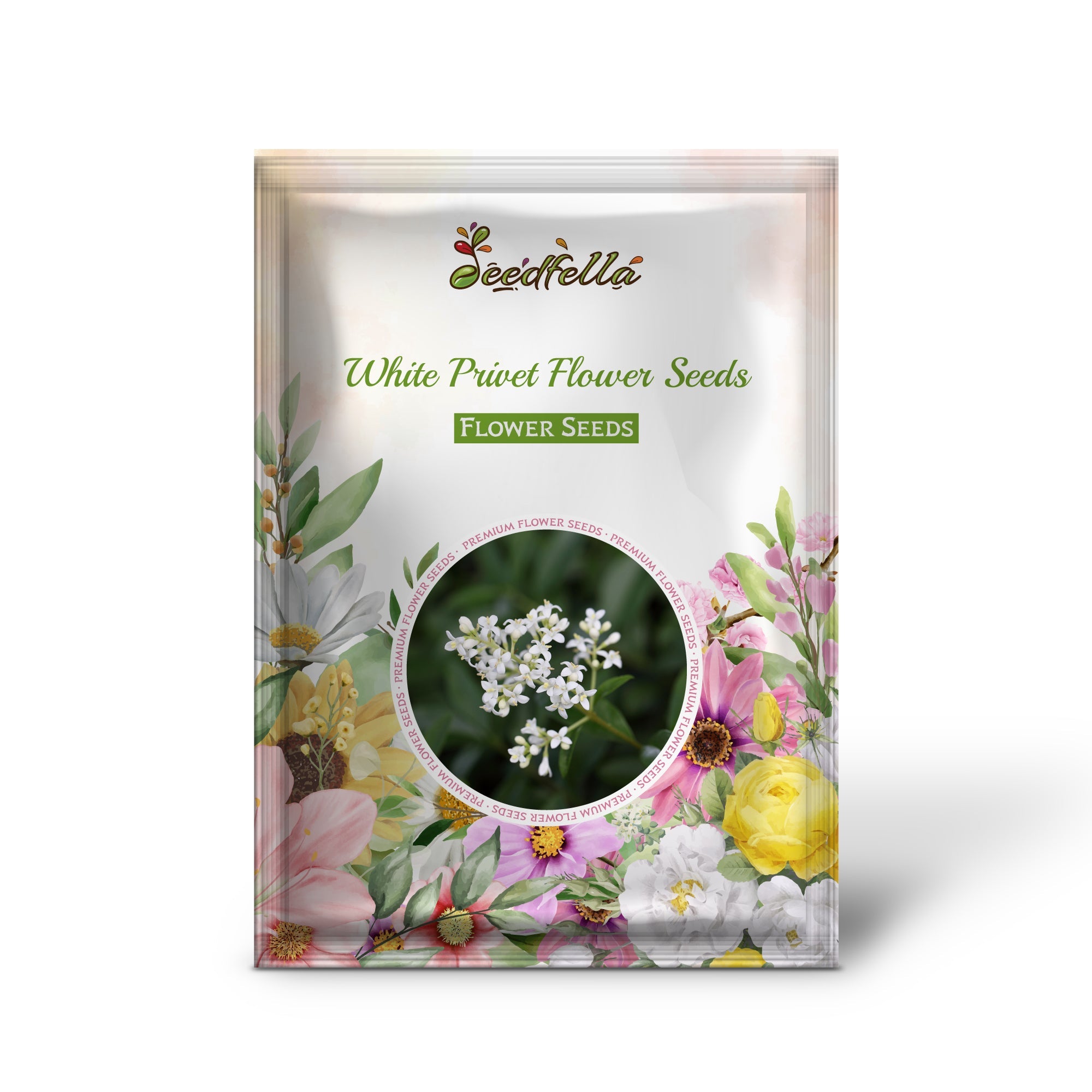 White Privet Flower Seeds for Planting  Enhance Your Garden