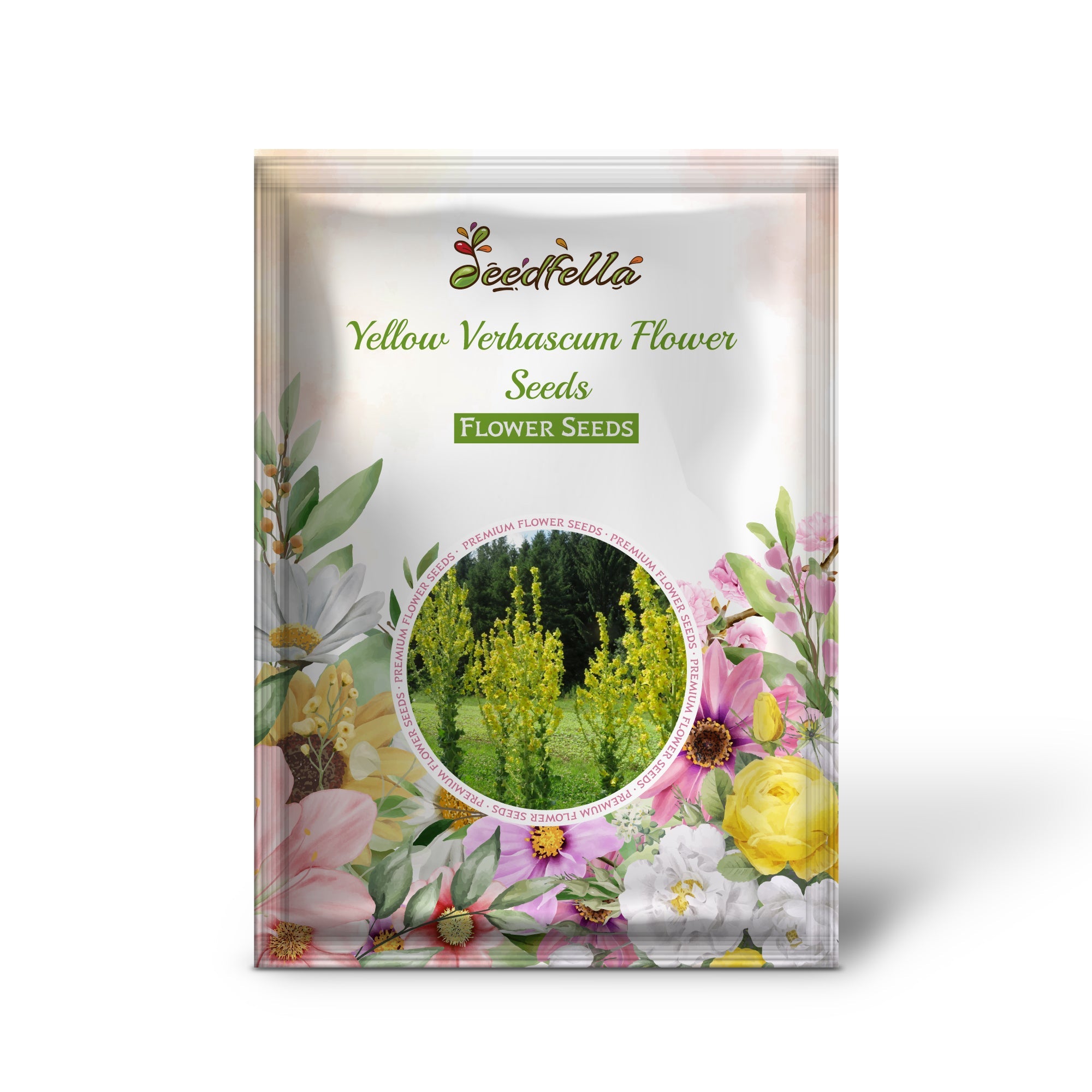 Yellow Verbascum Flower Seeds for Planting