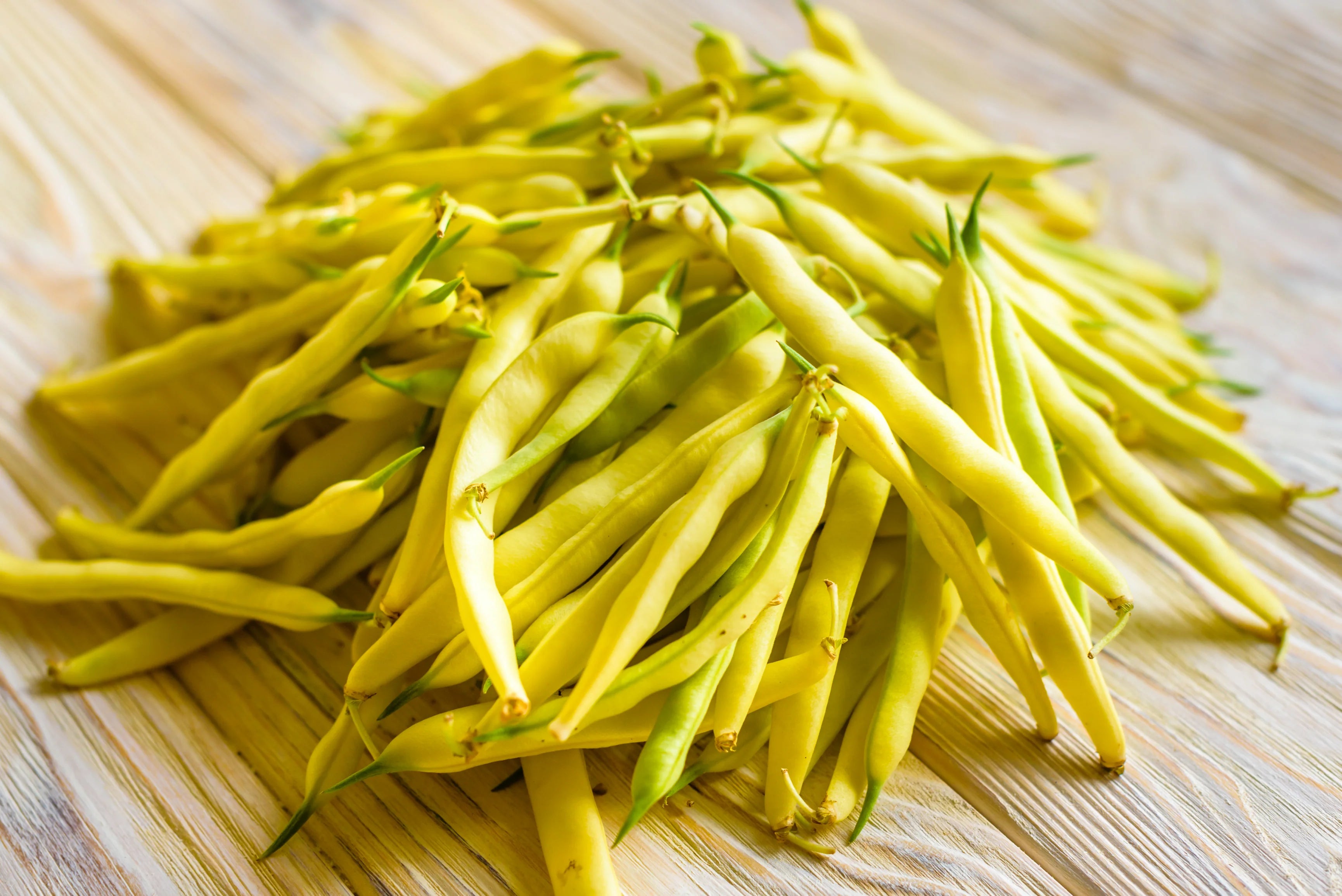 Yellow Bean Vegetable Seeds for Planting