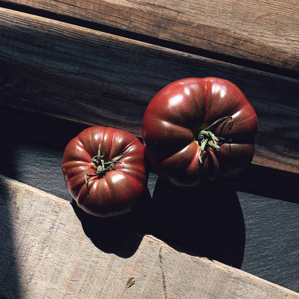 Marron Tomato Seeds for Planting - Premium Vegetable Seeds