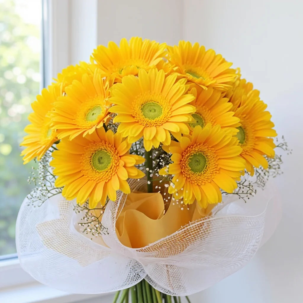 Yellow Gerbera Flower Seeds for Planting Hardy Variety Heirloom & GMO Free Seeds for Home Garden
 
 Sale