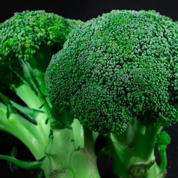 Heirloom Broccoli Plant Seeds – Rich in Vitamins and Minerals