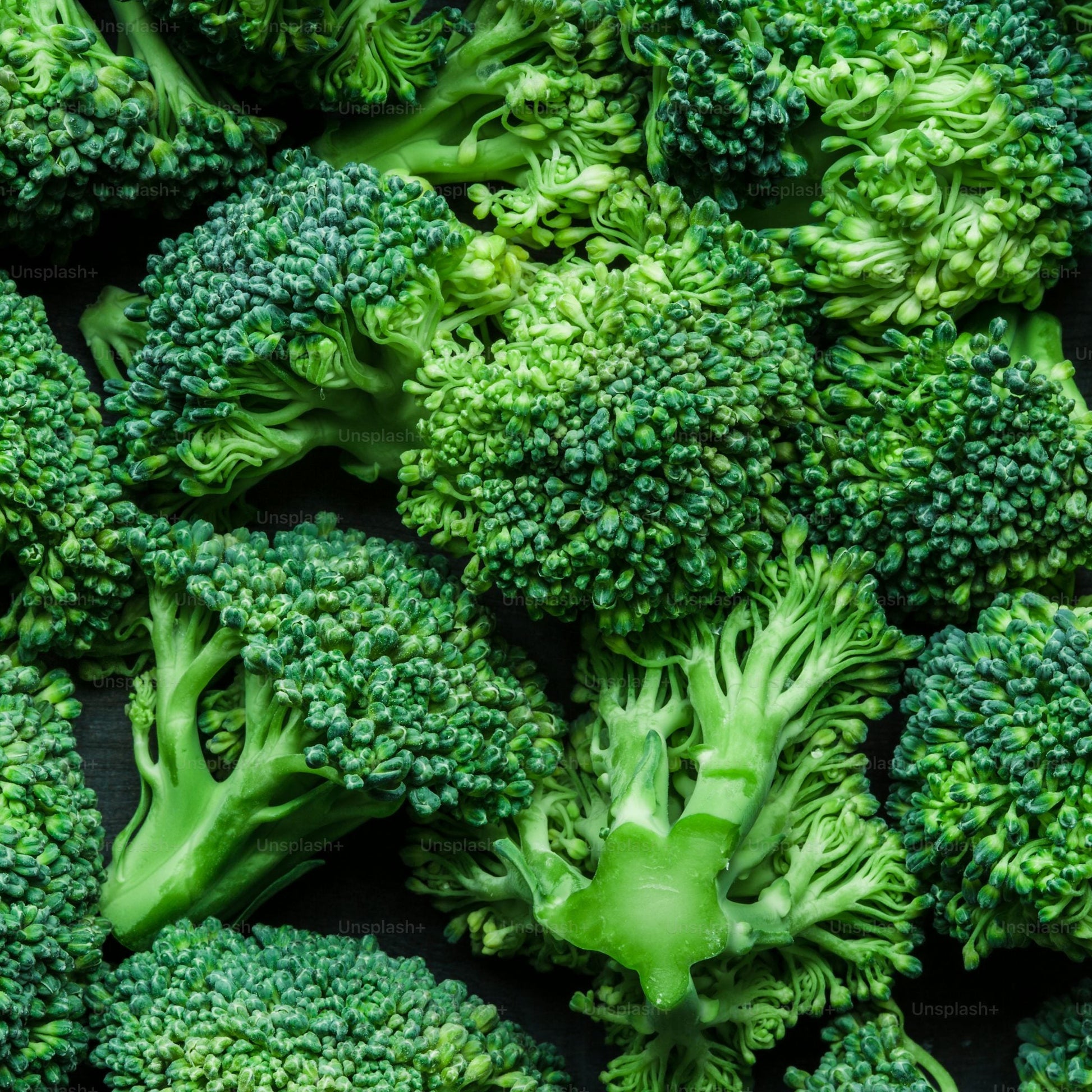 Premium Quality Broccoli Seeds – Organic Non-GMO Vegetable Seeds