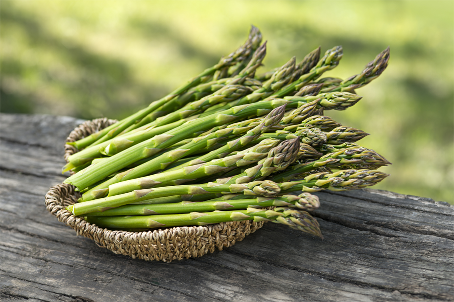 Green Wild Asparagus Seeds for Planting