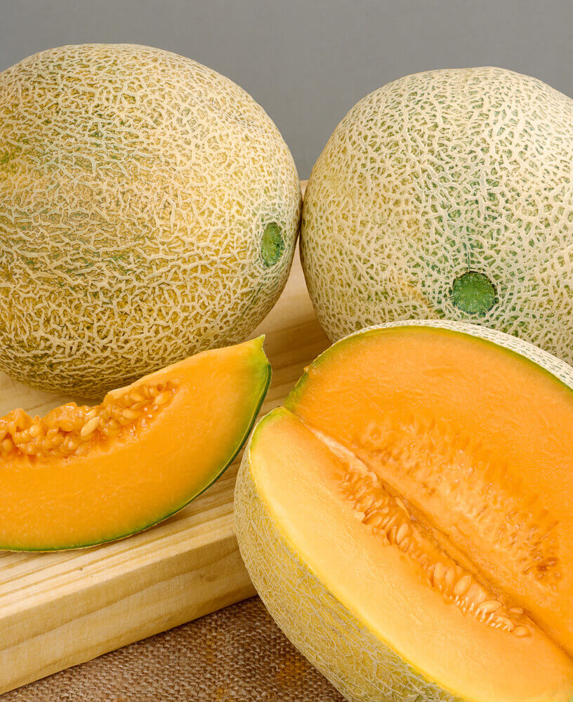 Orange Cantaloupe Melon Seeds for Planting  Grow Delicious Homegrown Fruit