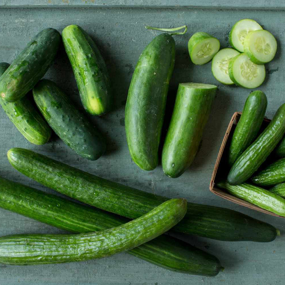 English Cucumber Seeds – Organic Non-GMO Variety for Home Gardens
