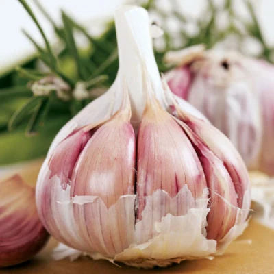 Garlic Vegetable Seeds: Add Exotic Charm to Your Garden, Premium Seeds seed packet for home gardening