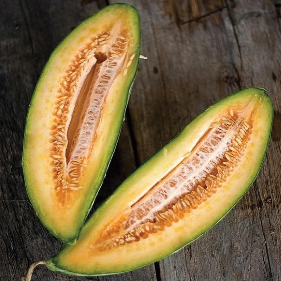 Gold Banana Melon Seeds for Planting  Premium Fruit Seeds