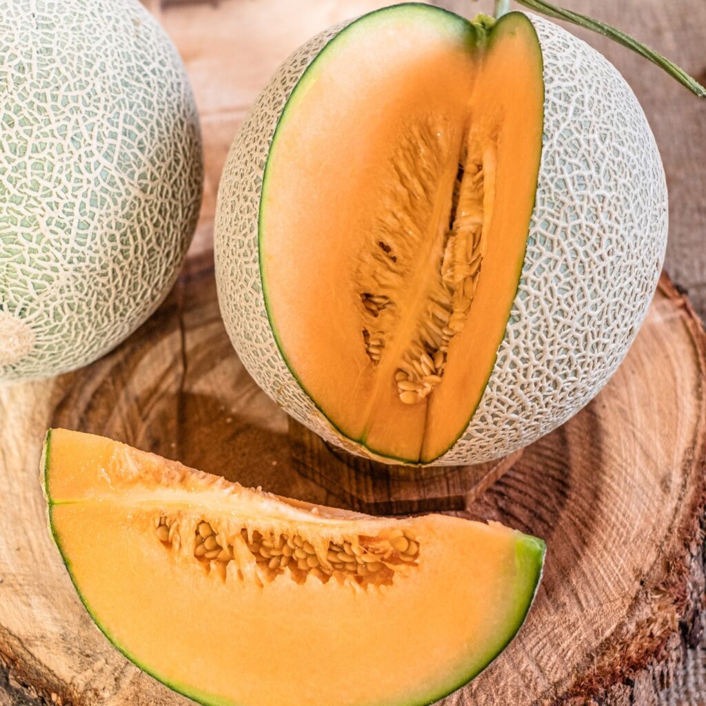 Brown Cantaloupe Melon Seeds for Planting