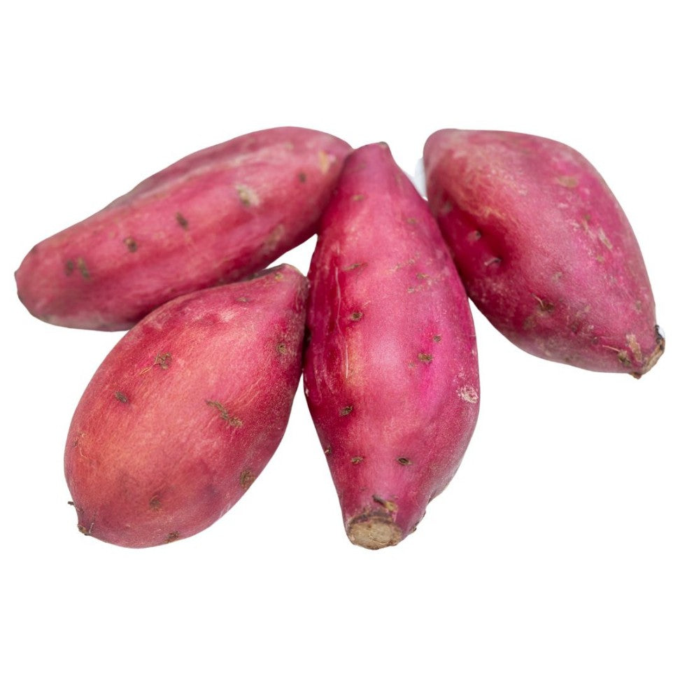 Pink Batatas Potato Seeds – Perfect For Planting In Your Garden Vegetable Seeds