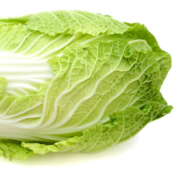 Buy Perpetual Spinach Seeds Online – Easy Growing Greens