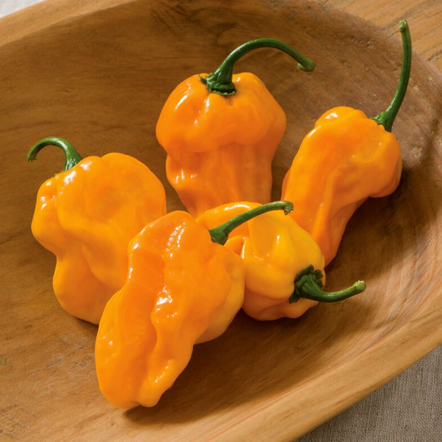 Numex Suave Orange Pepper Seeds for Sweet, Mild Orange Peppers