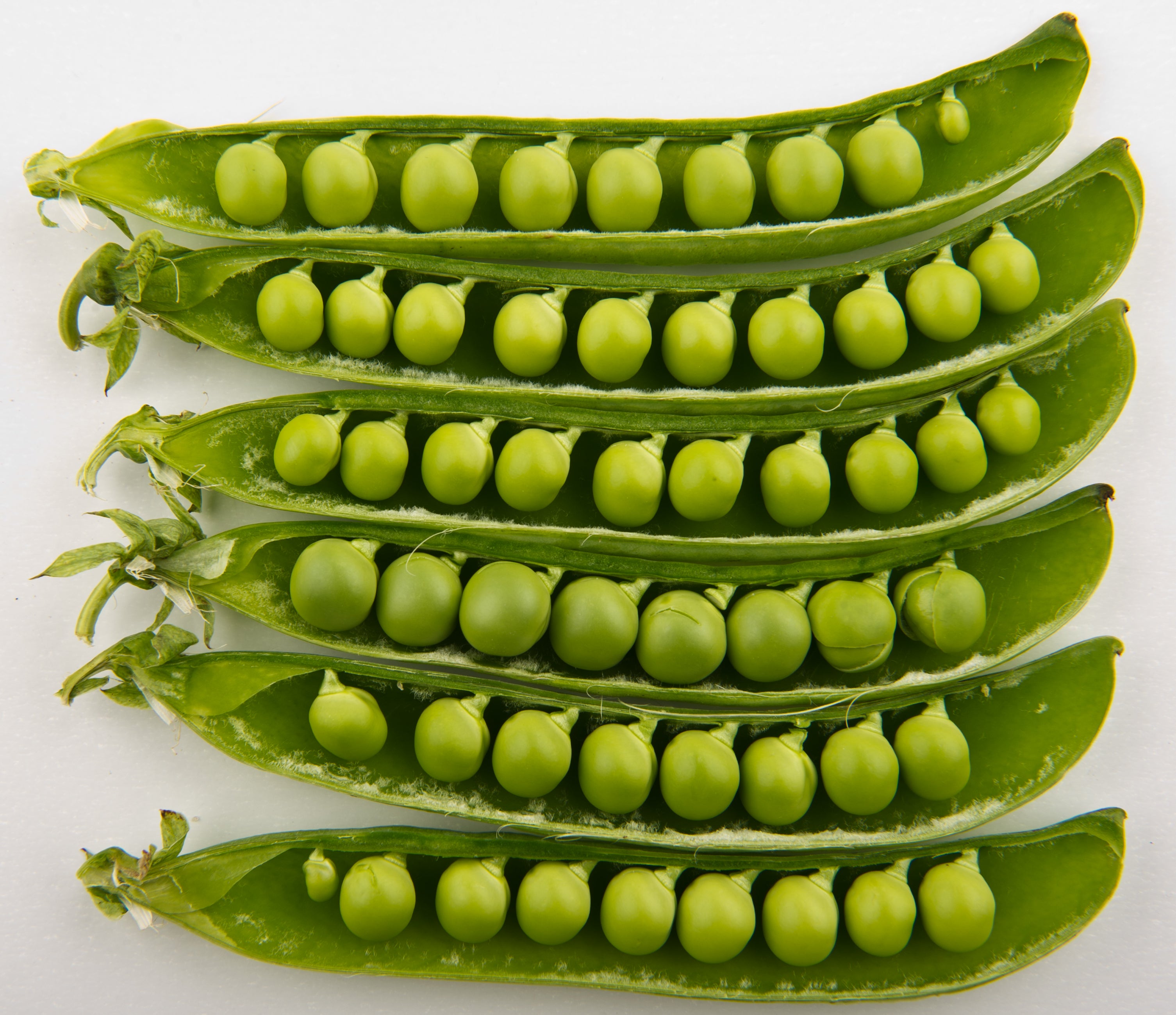 Green Pisum Vegetable Seeds for Planting