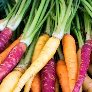 Rainbow Carrot Seeds – Colorful Garden Mix