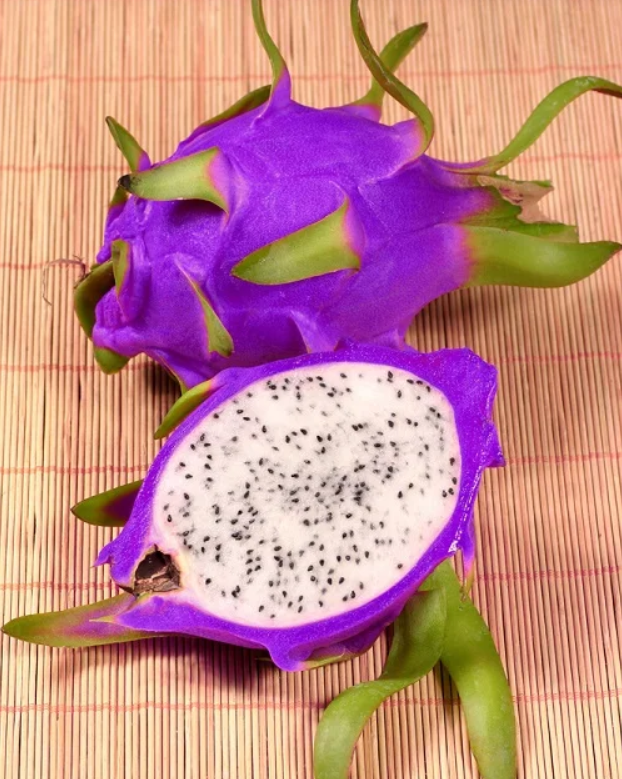 Sky Blue Pitaya Fruit Seeds for Planting - Exotic Tropical Delights