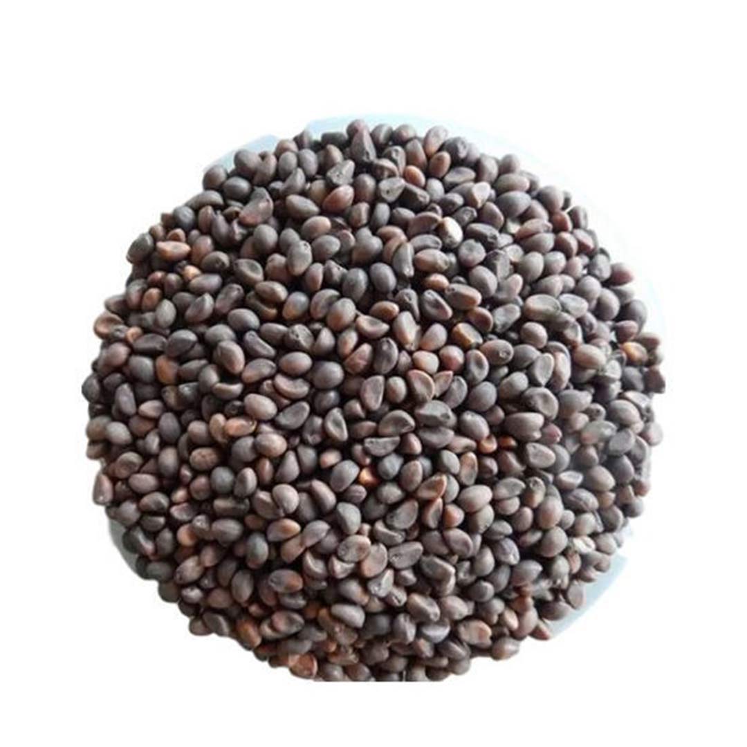 Buy good quality spinach seeds online