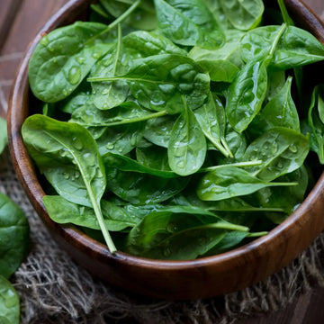 Perpetual Spinach Seeds – Leaf Beet Garden Variety