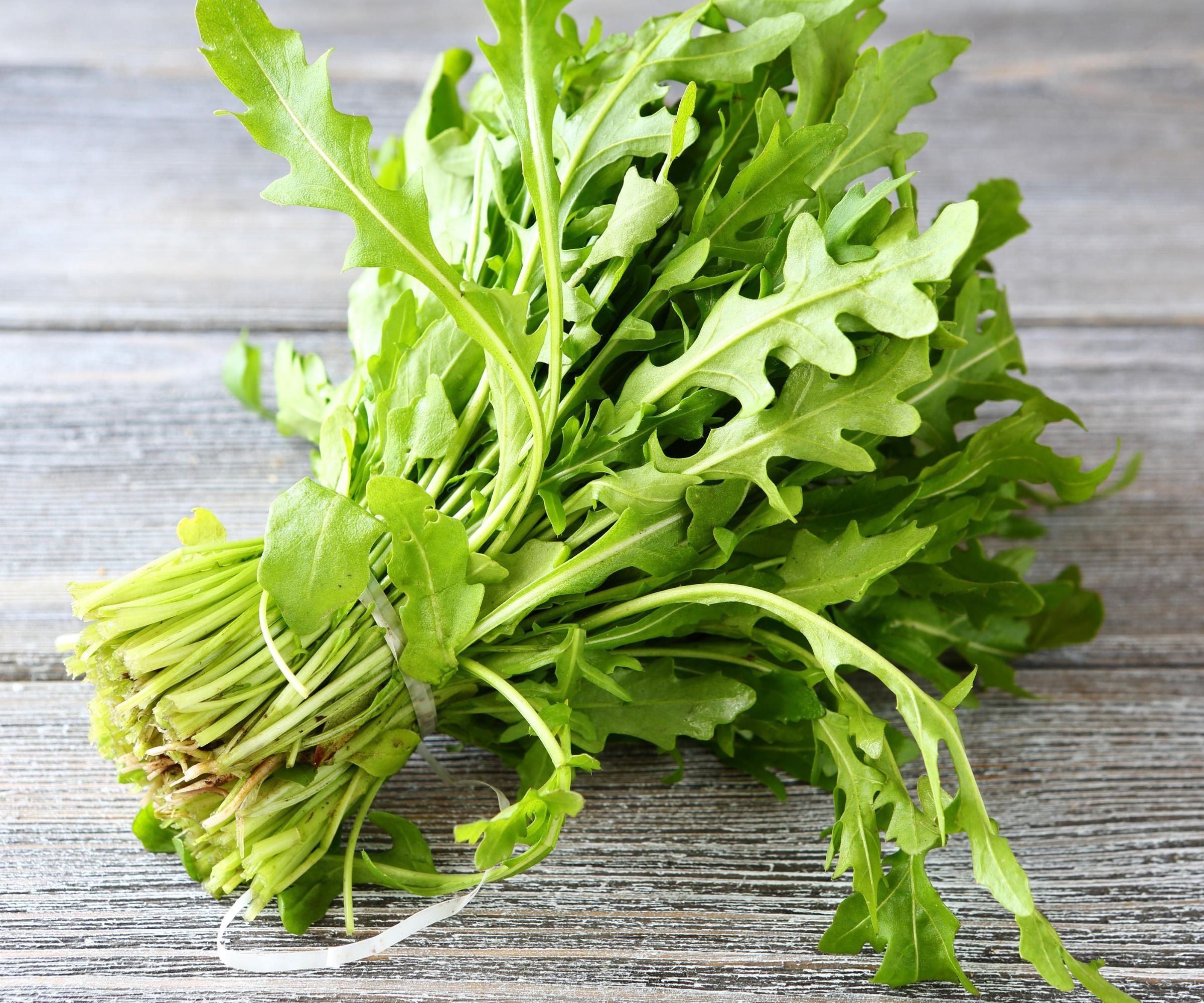 Green Rucola Vegetable Seeds for Planting
