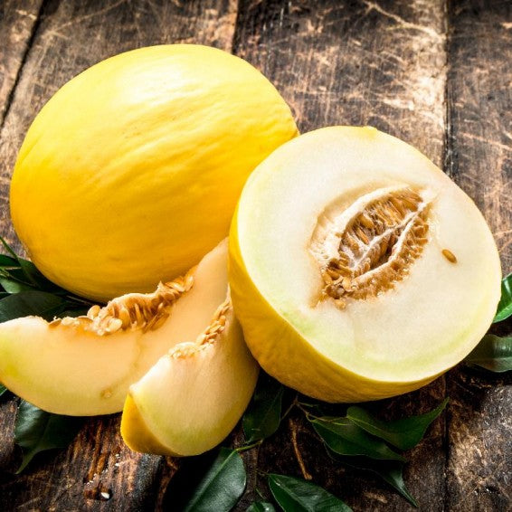 Yellow Crenshaw Melon Seeds Planting Guide
