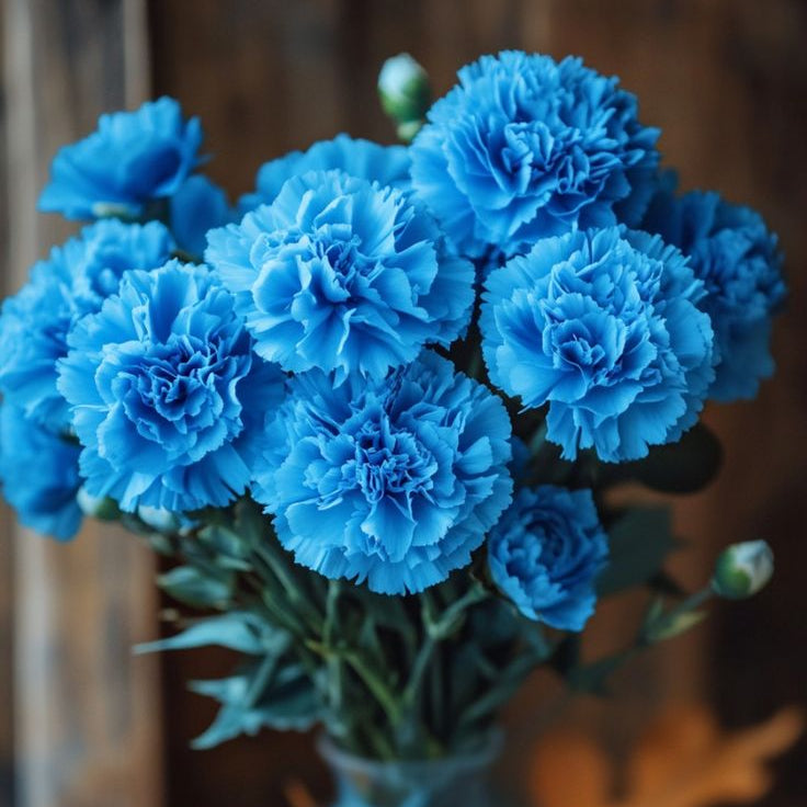 Sky Blue Carnation Flower seeds for Planting - Vibrant Colors, Heirloom & GMO Free Seeds for Home Garden